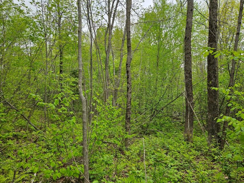681 Mile Hill Road Property Photo 9