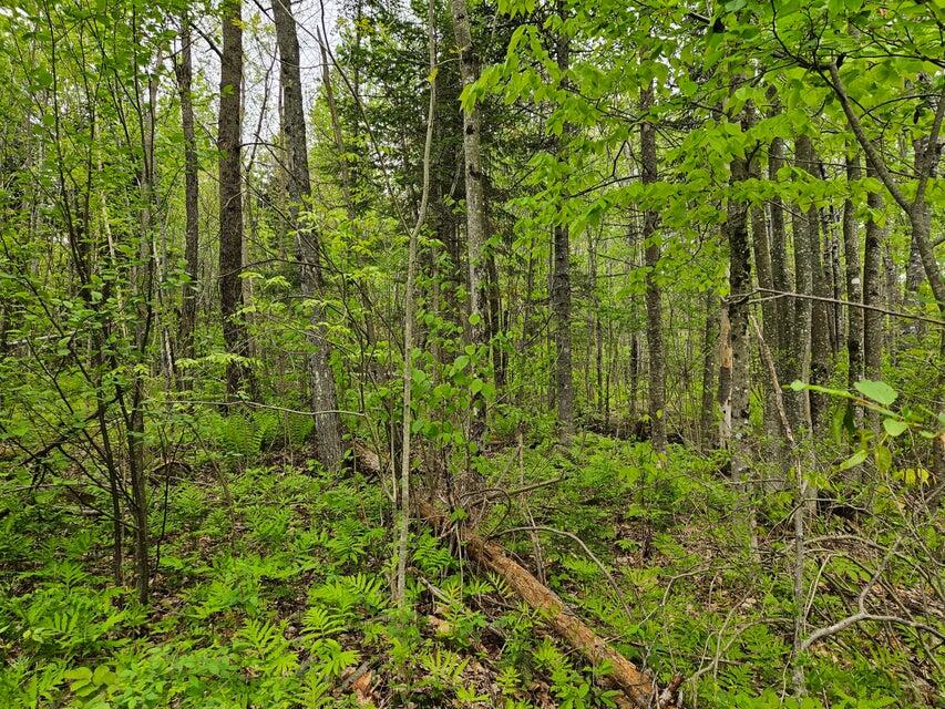 681 Mile Hill Road Property Photo 10