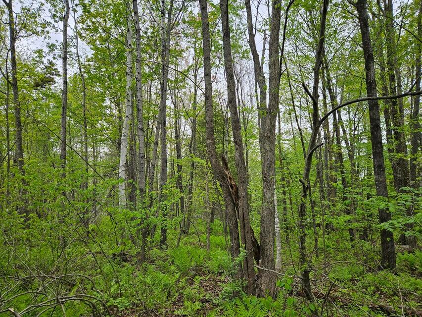 681 Mile Hill Road Property Photo 11