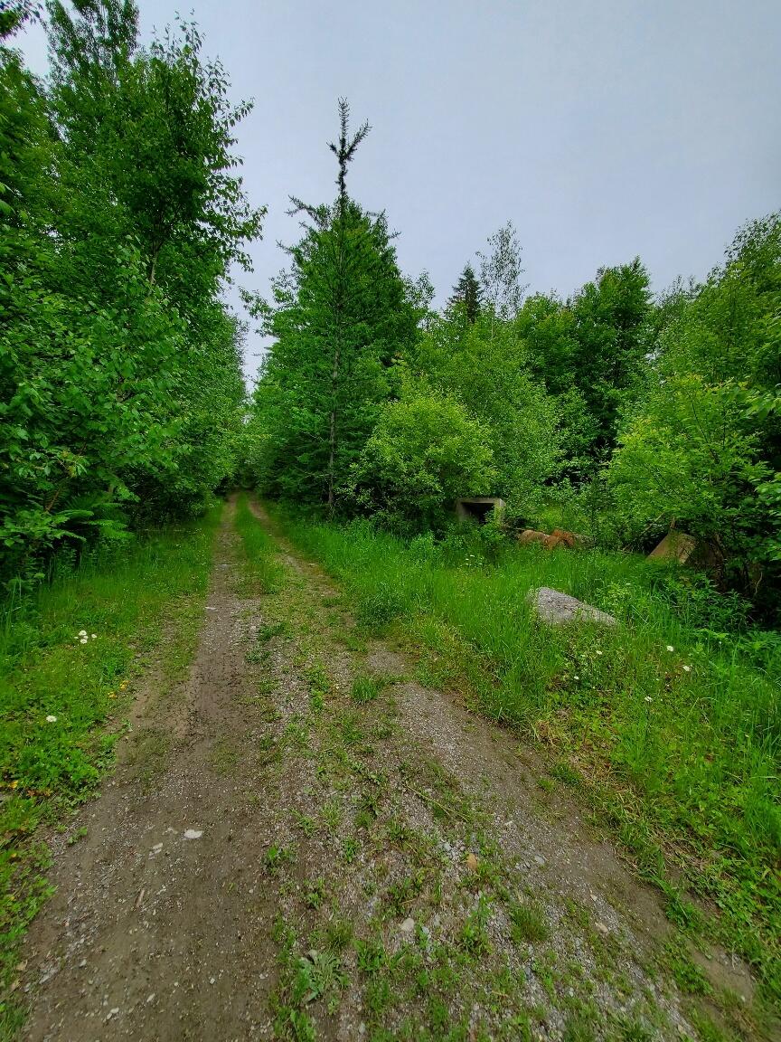 0 Mill Street Property Photo 2