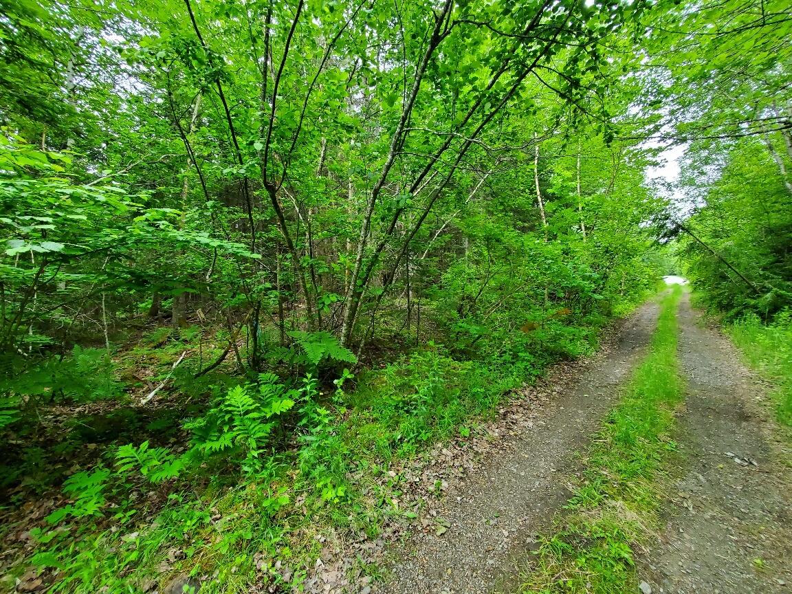 0 Mill Street Property Photo 3