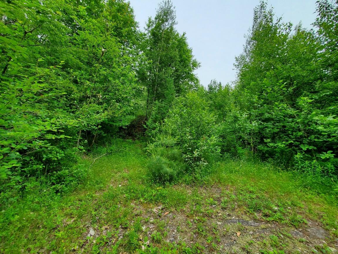 0 Mill Street Property Photo 8