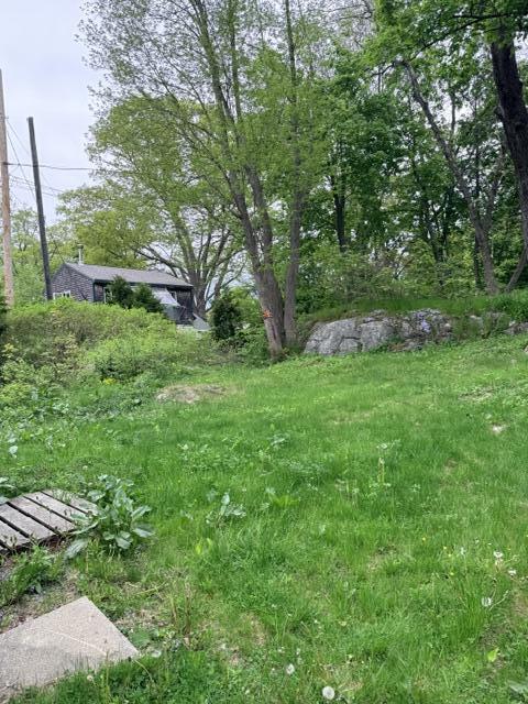 113 Dummer Street Property Photo 4