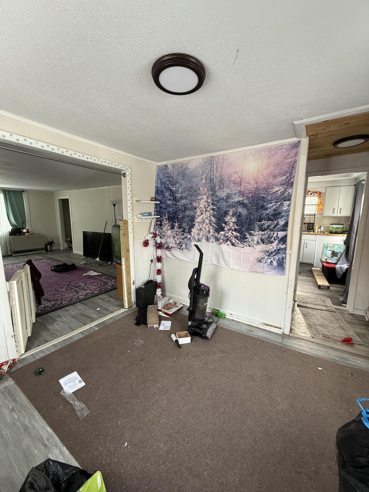 113 Dummer Street Property Photo 9