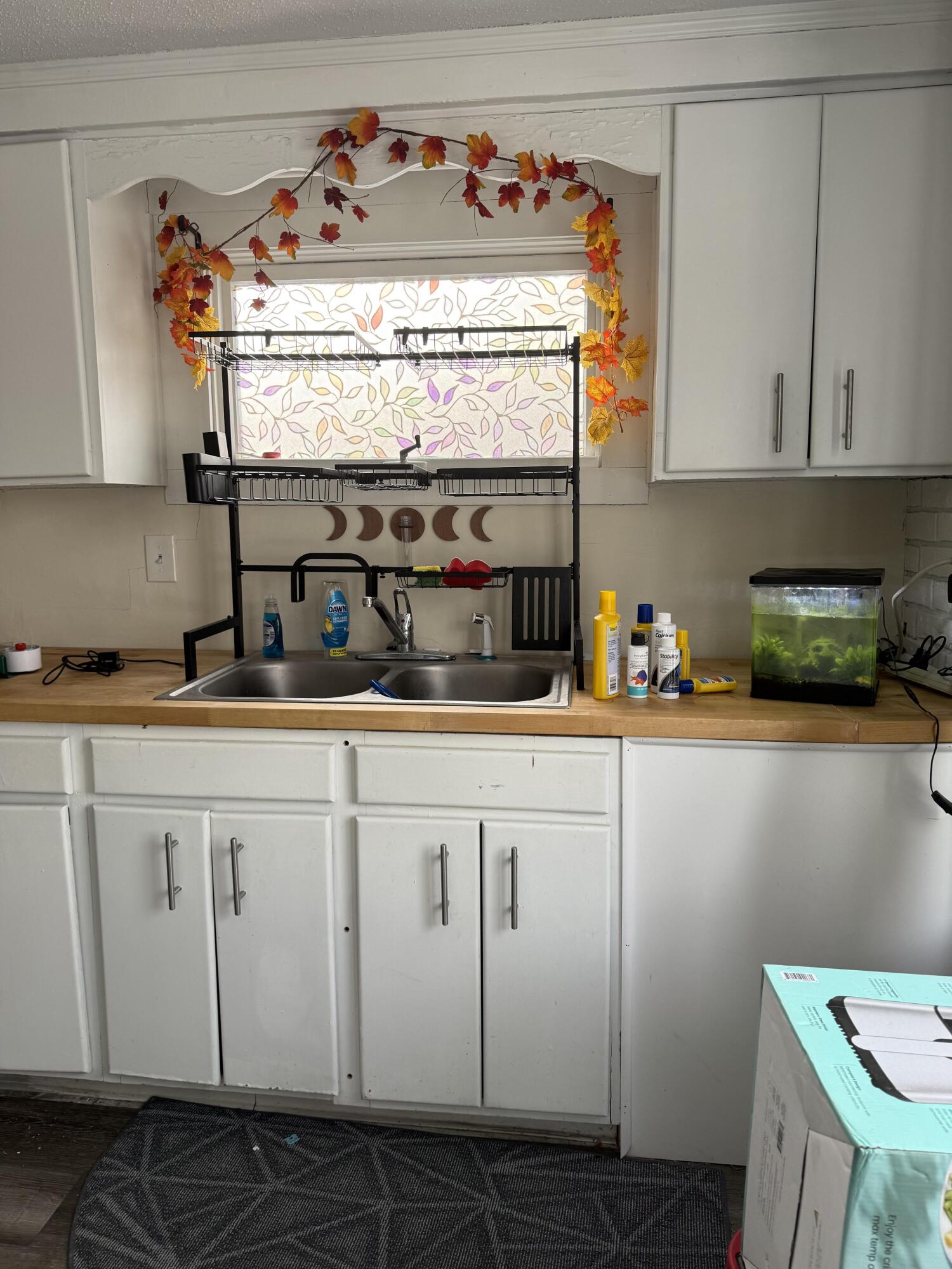 113 Dummer Street Property Photo 15