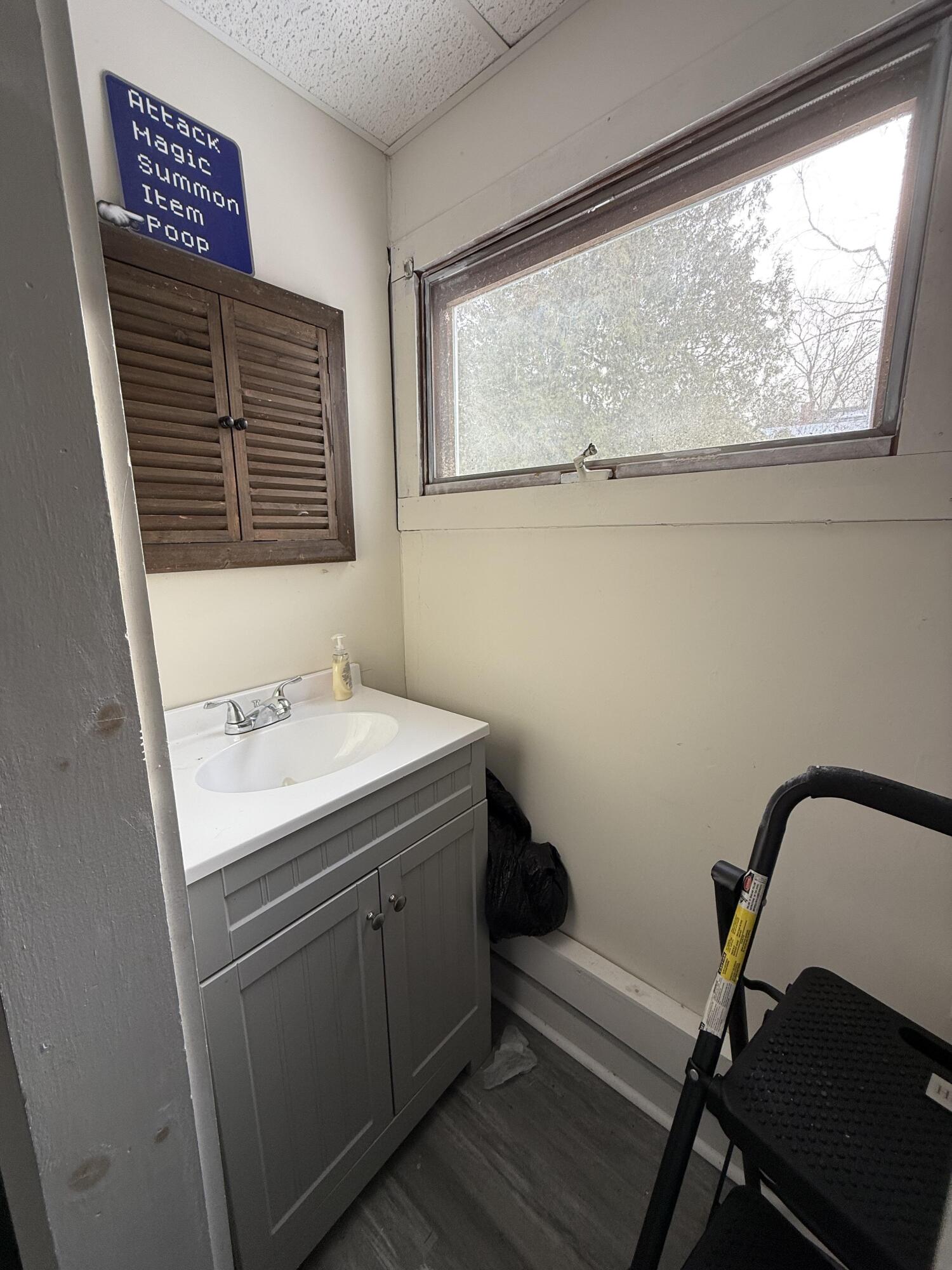 113 Dummer Street Property Photo 18