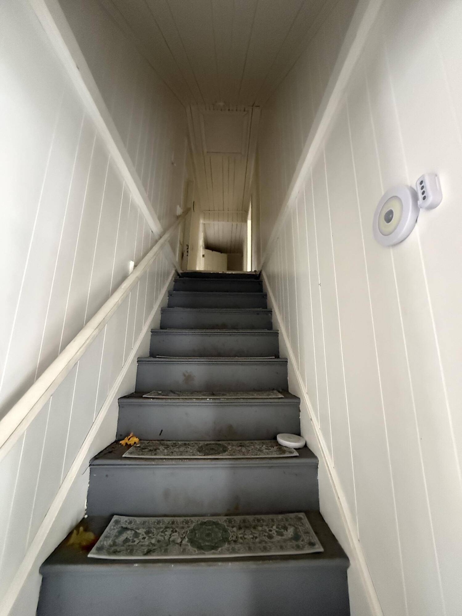 113 Dummer Street Property Photo 22