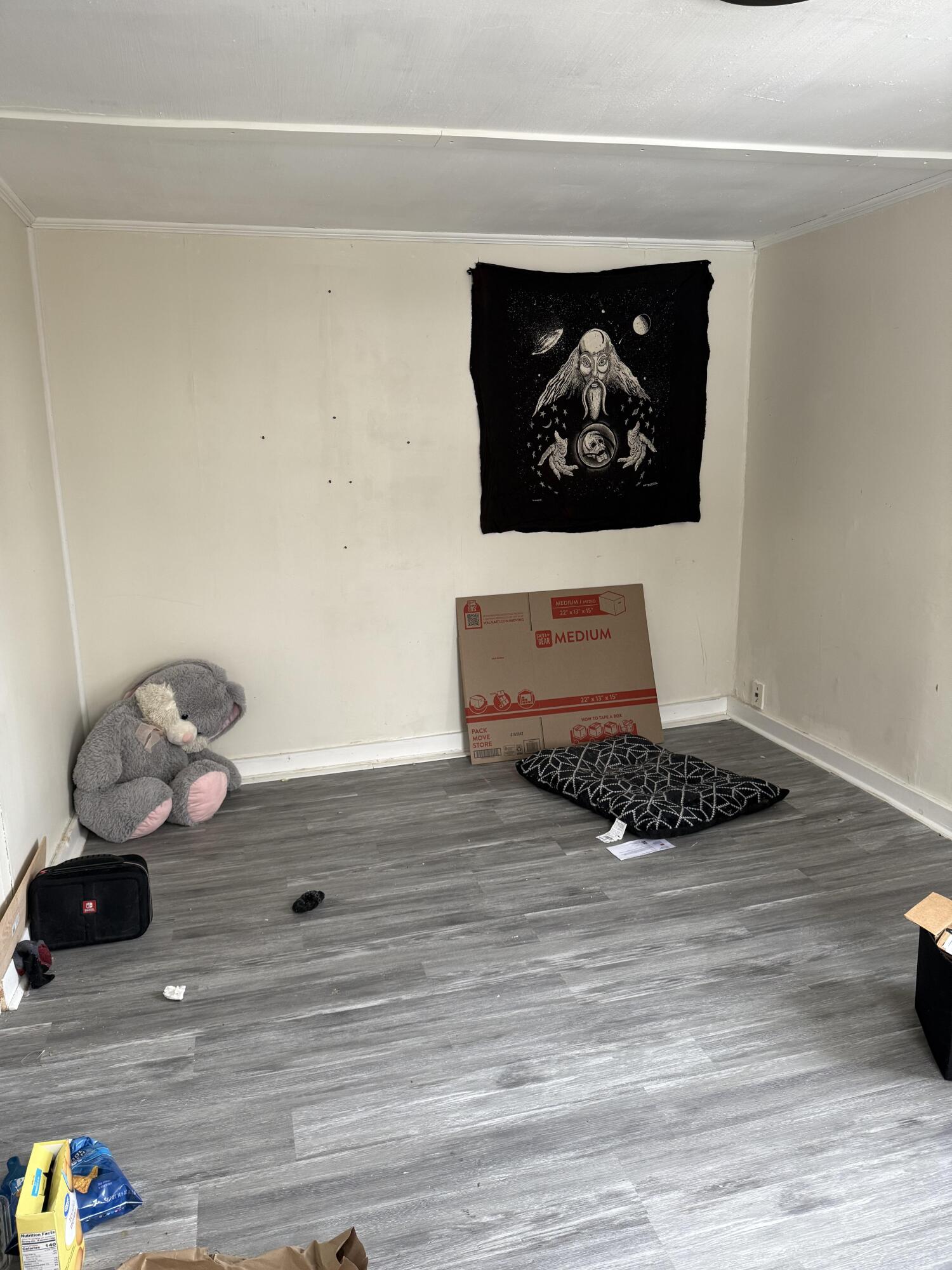 113 Dummer Street Property Photo 32