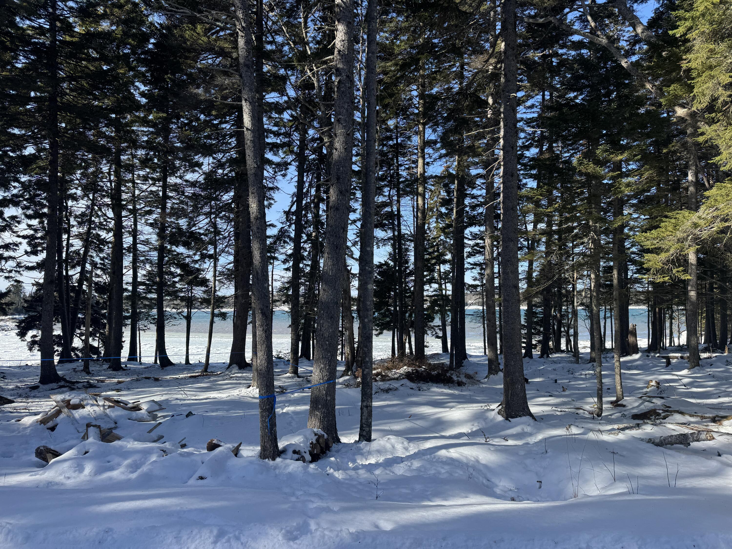 Lot B Fort Williams Road Property Photo 28