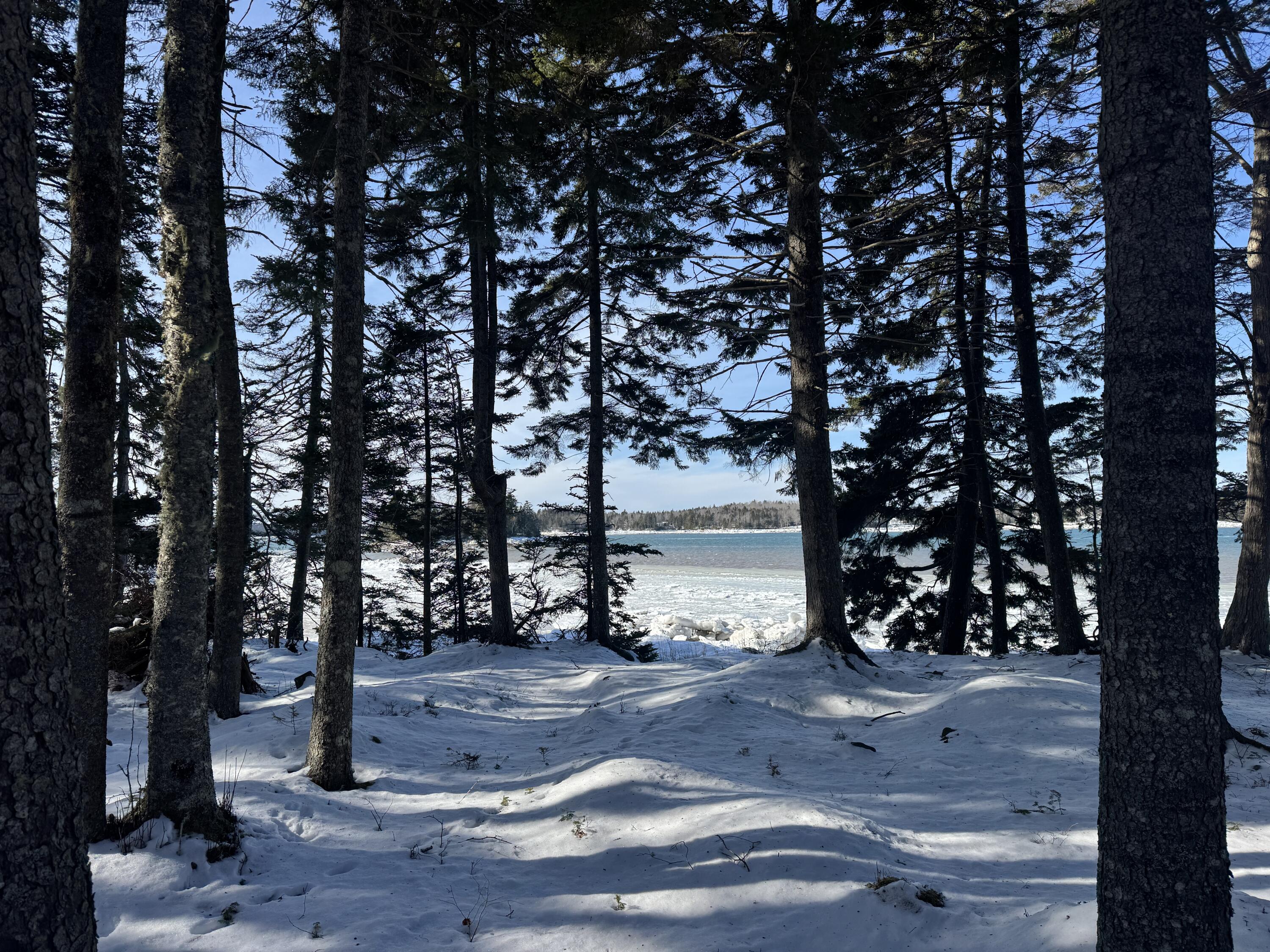 Lot B Fort Williams Road Property Photo 32