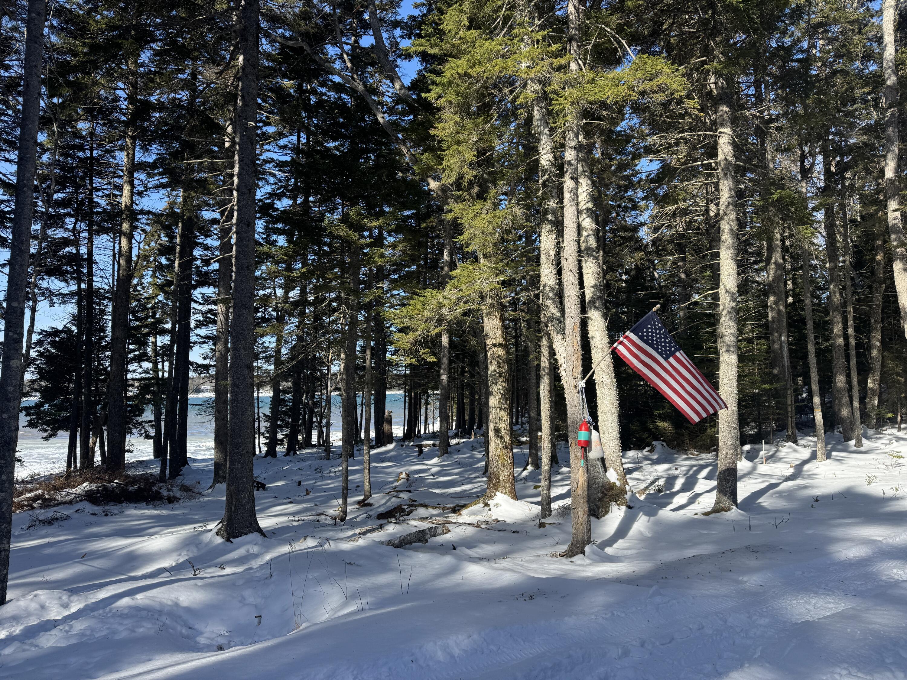 Lot B Fort Williams Road Property Photo 34