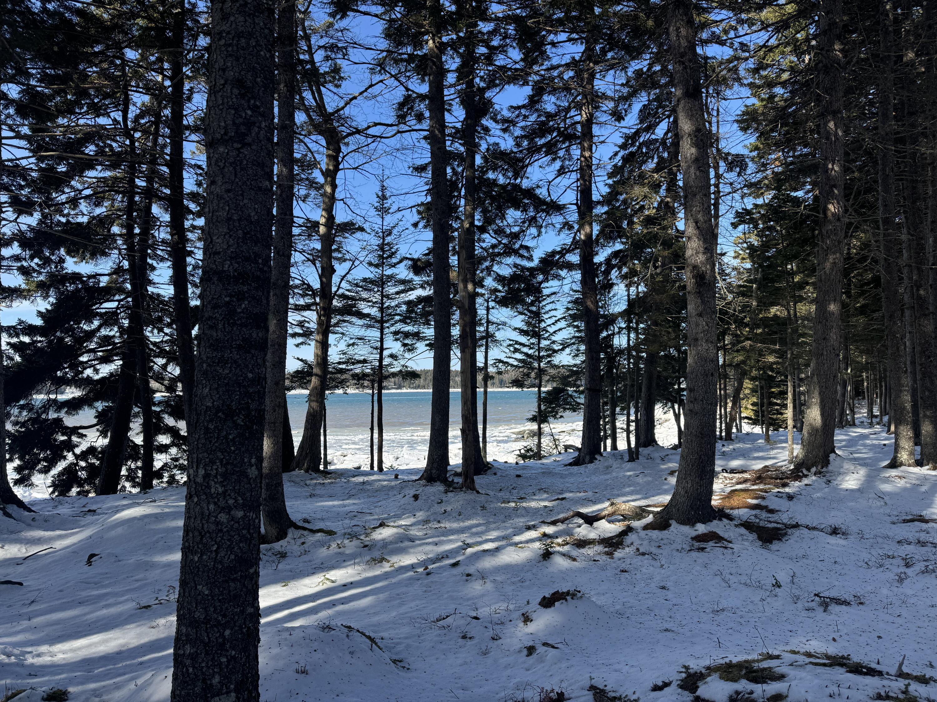 Lot B Fort Williams Road Property Photo 35