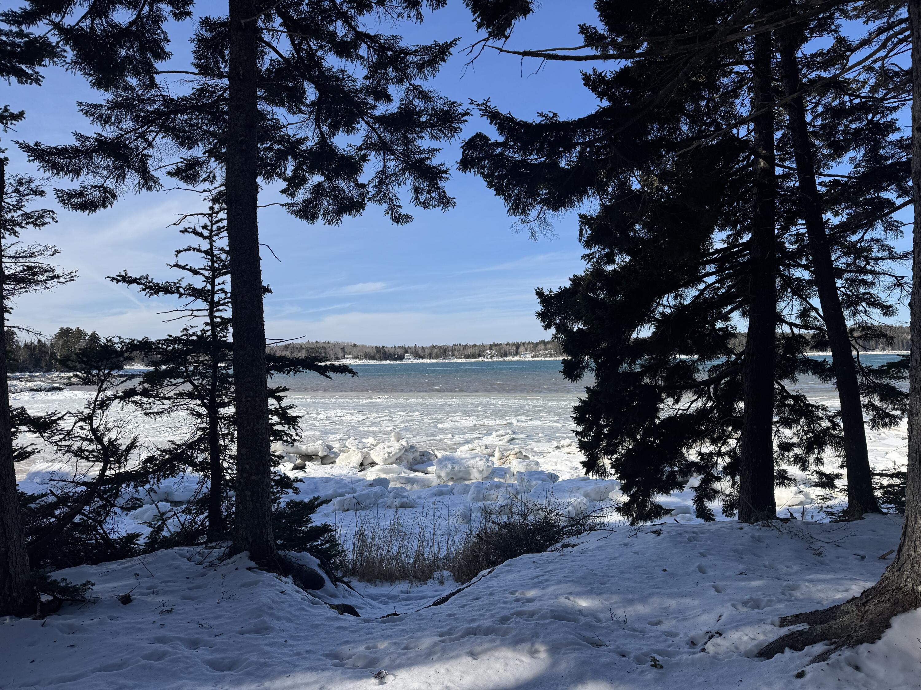 Lot B Fort Williams Road Property Photo 37
