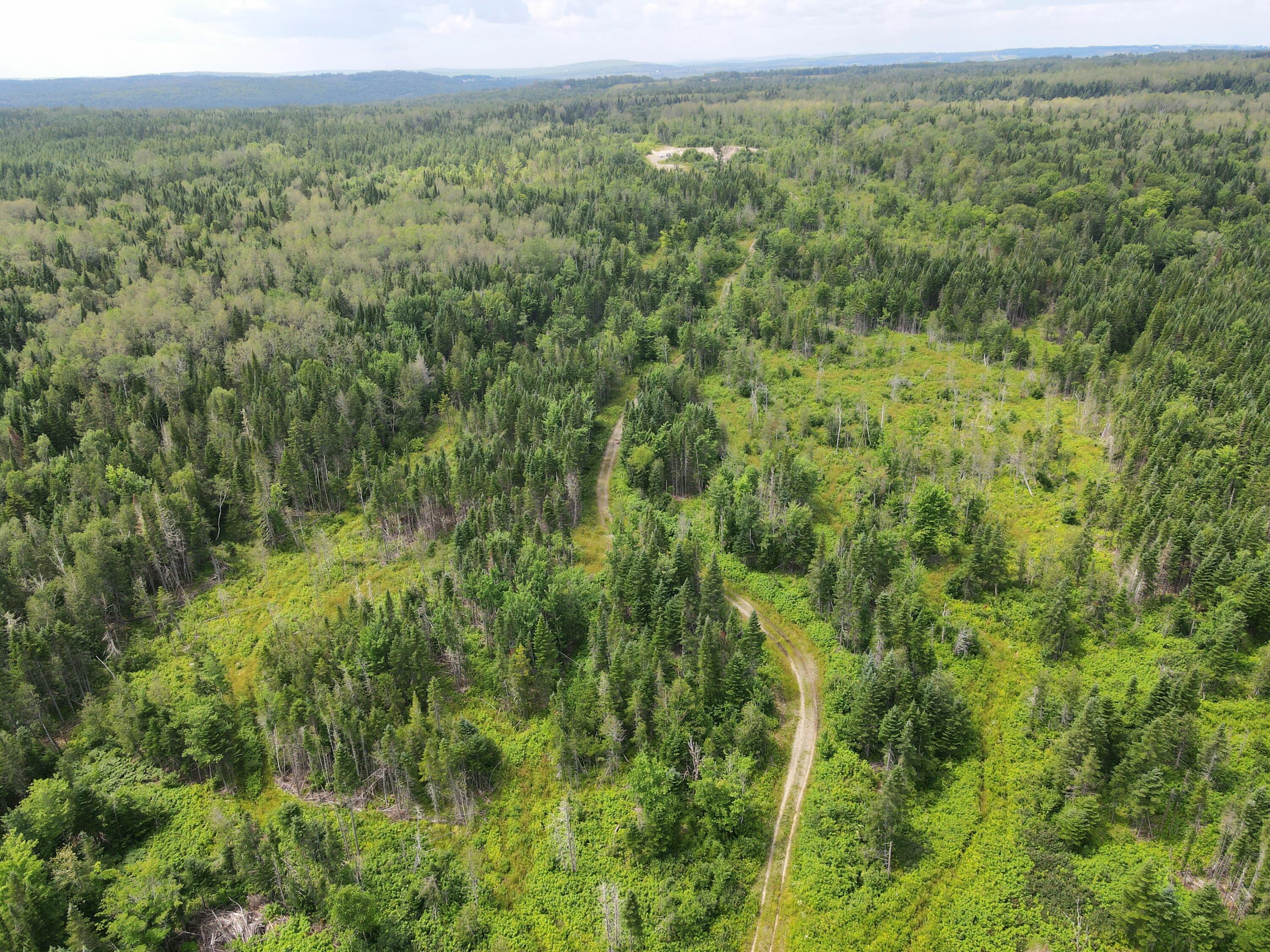 Lot 43.12 Jemptland Road Property Photo 6