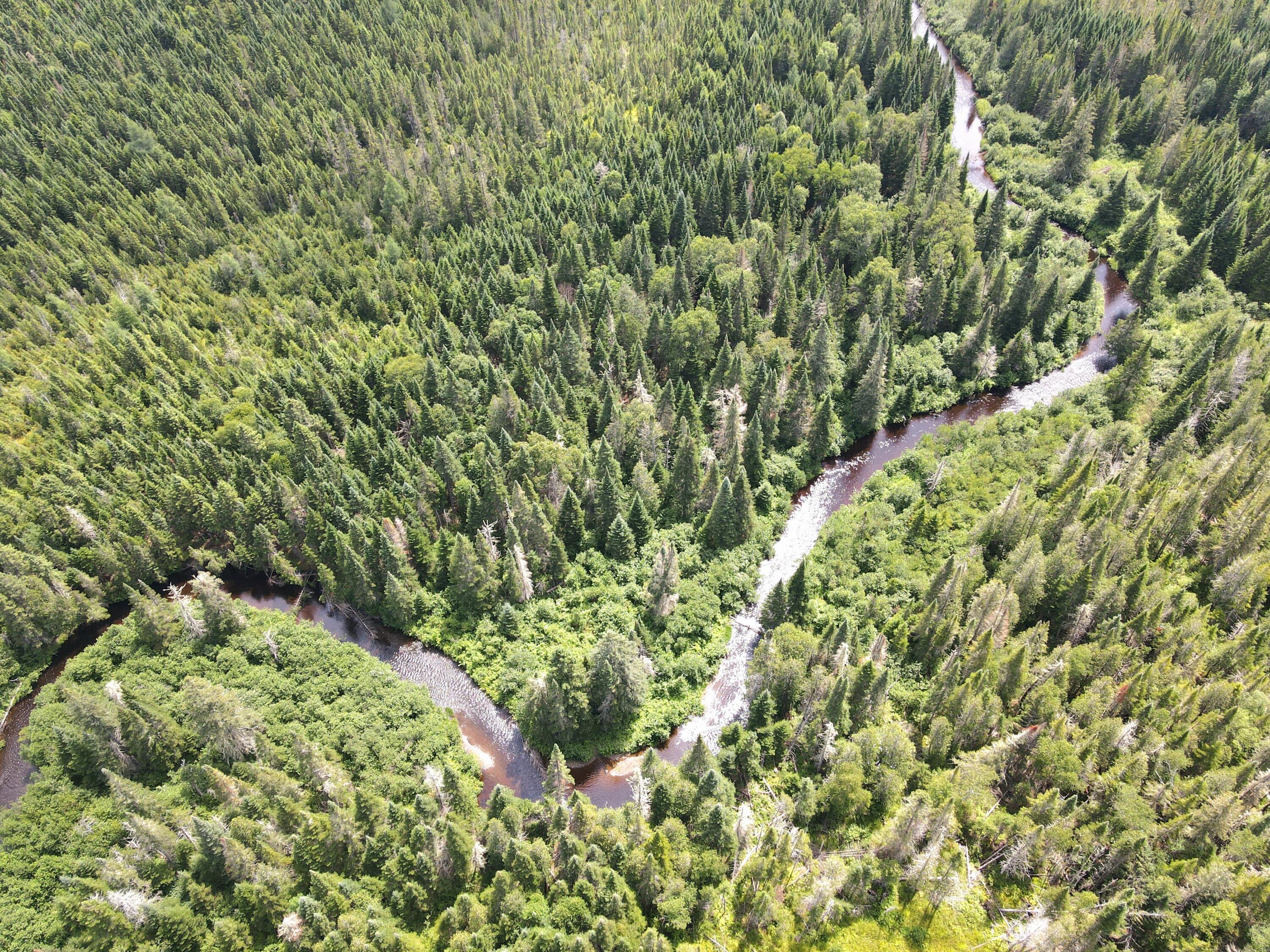 Lot 43.12 Jemptland Road Property Photo 9
