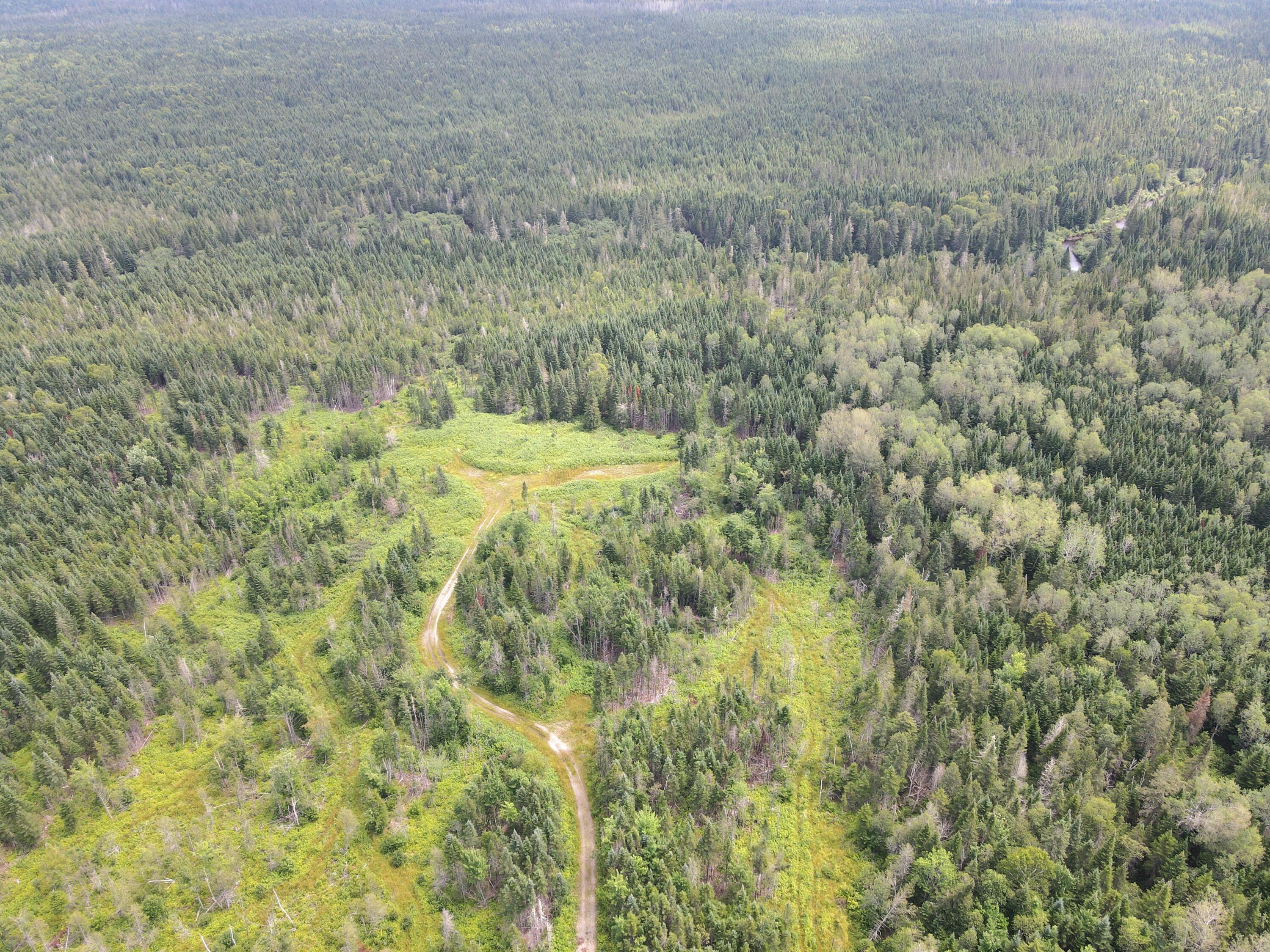 Lot 43.12 Jemptland Road Property Photo 14