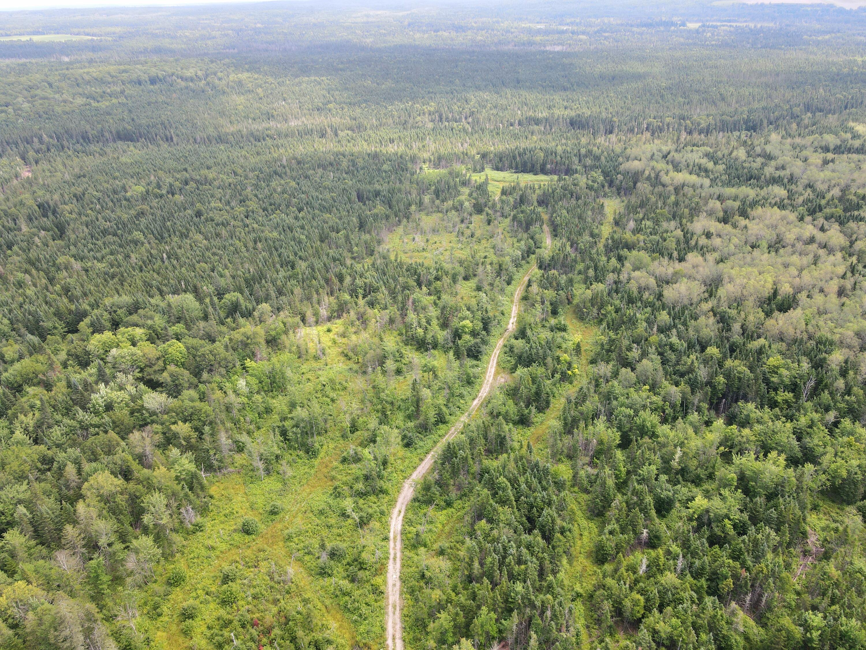 Lot 43.12 Jemptland Road Property Photo 16