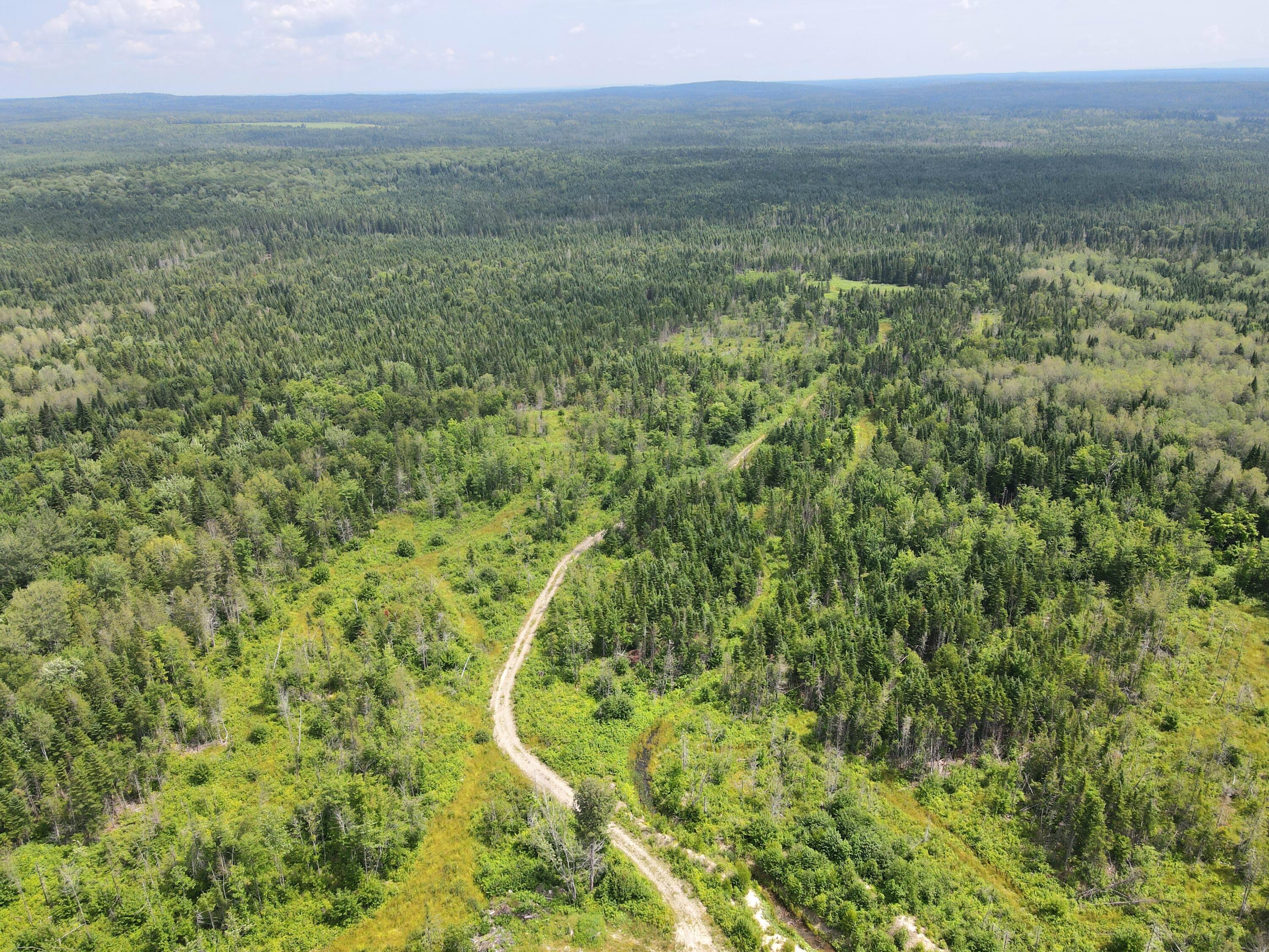 Lot 43.12 Jemptland Road Property Photo 22