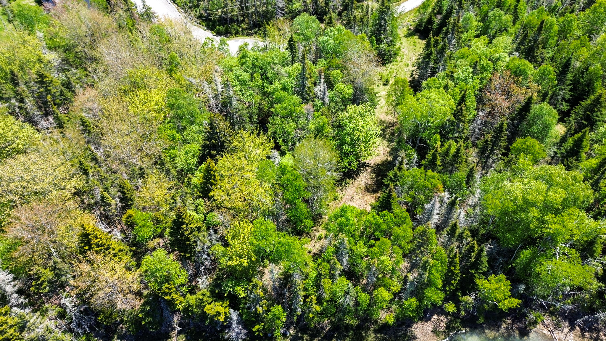 Lot 50 Cove Road Property Photo 28