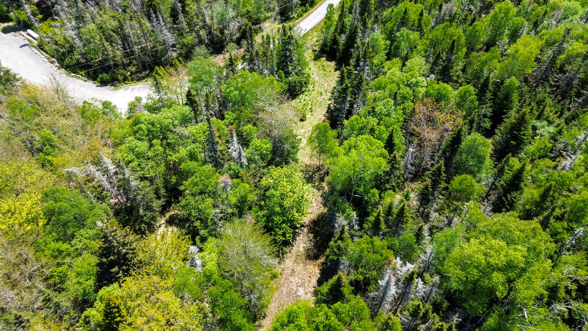 Lot 50 Cove Road Property Photo 29
