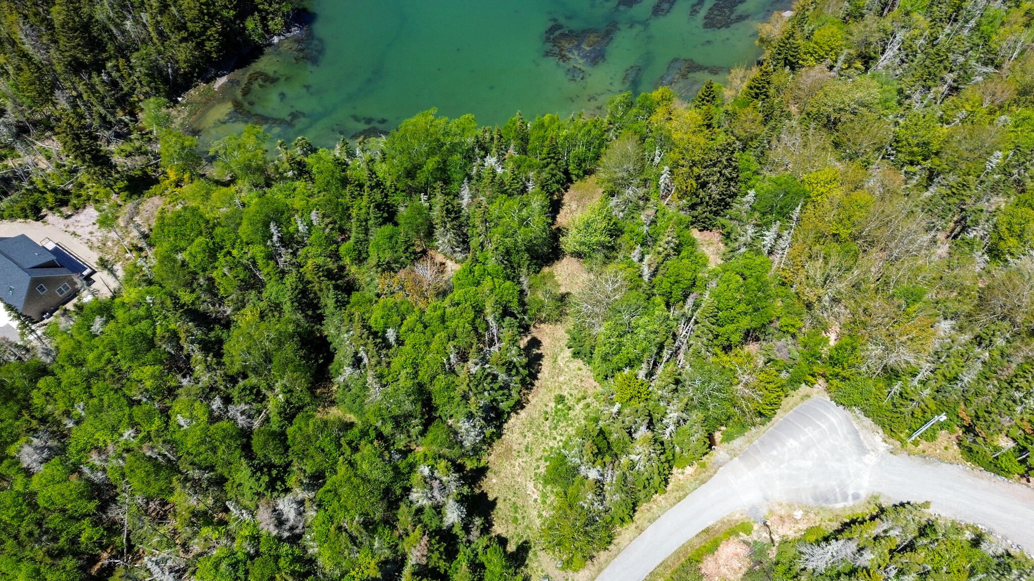 Lot 50 Cove Road Property Photo 30