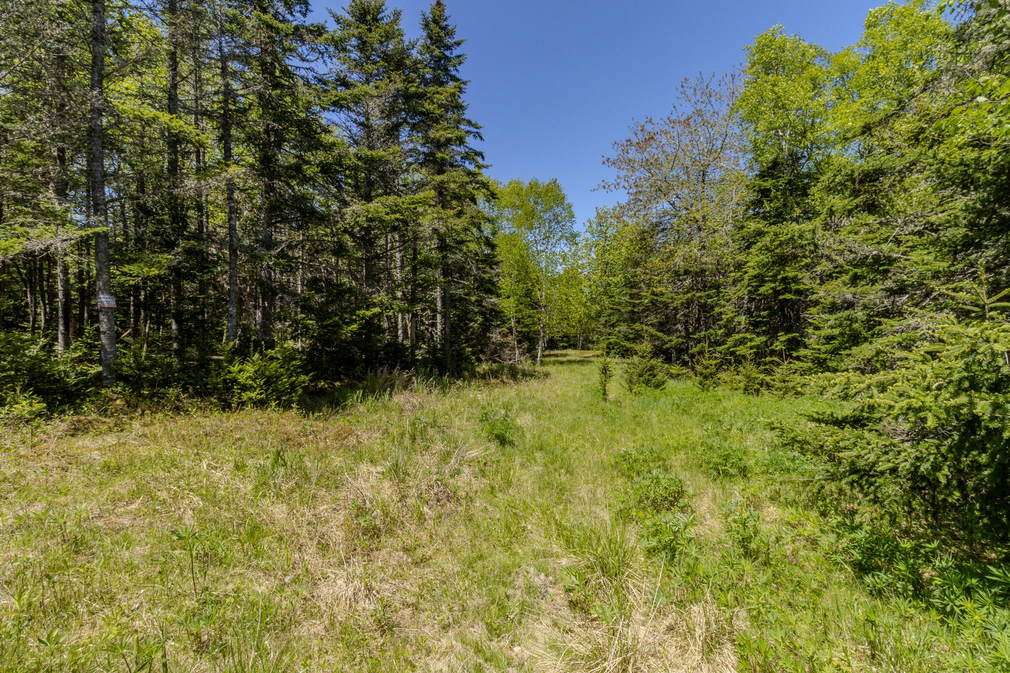 Lot 50 Cove Road Property Photo 31