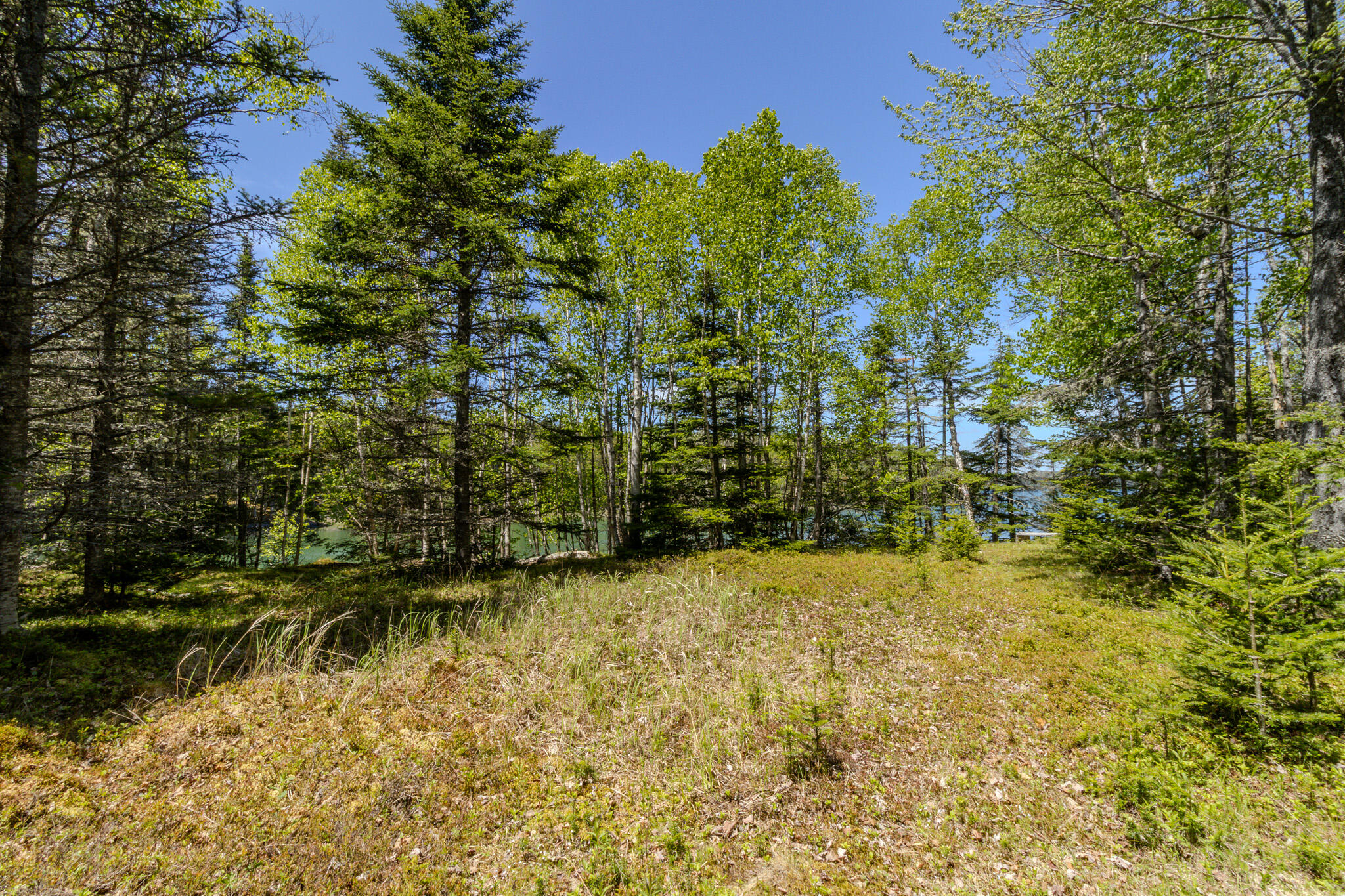 Lot 50 Cove Road Property Photo 32