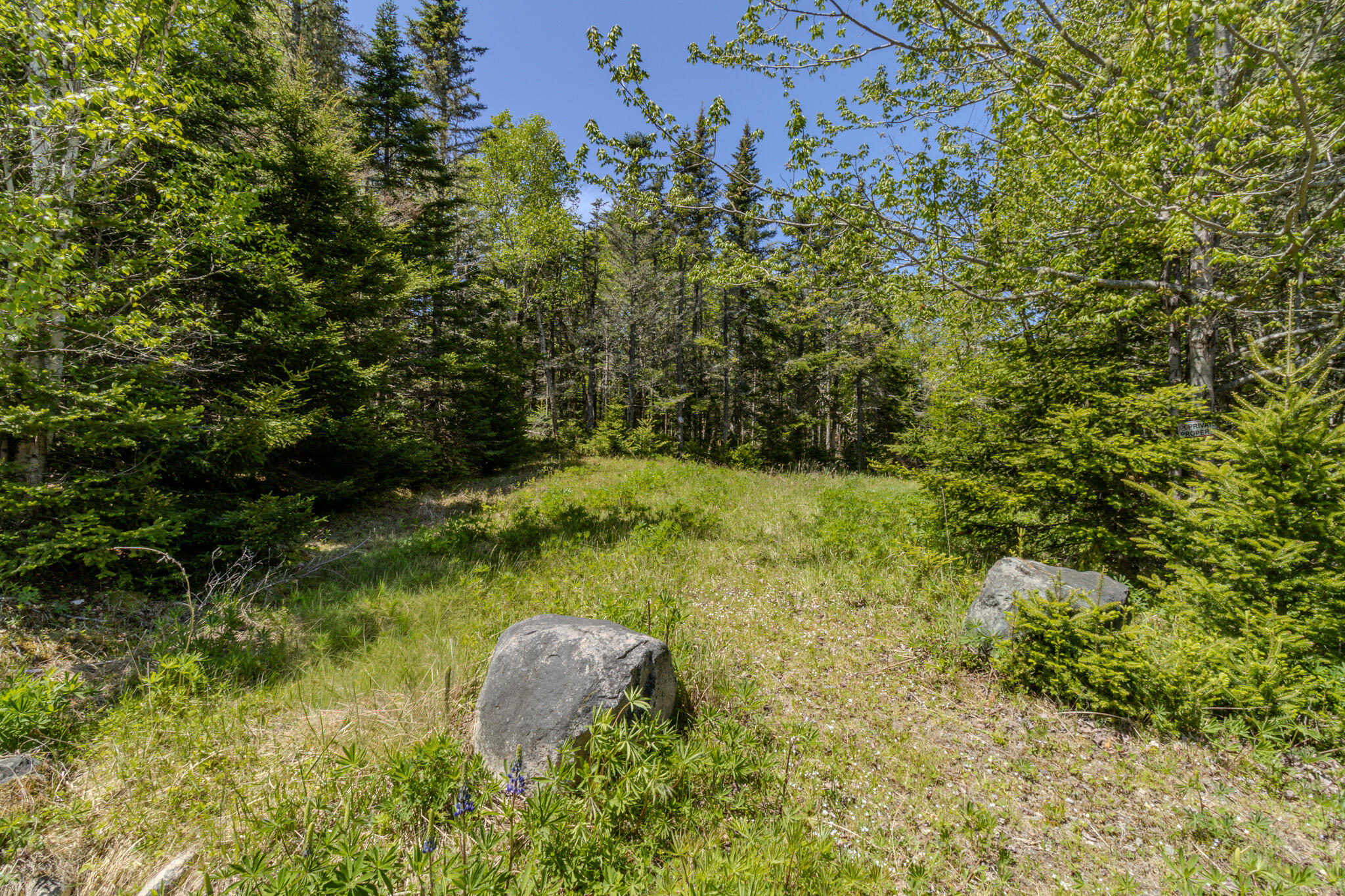 Lot 50 Cove Road Property Photo 33