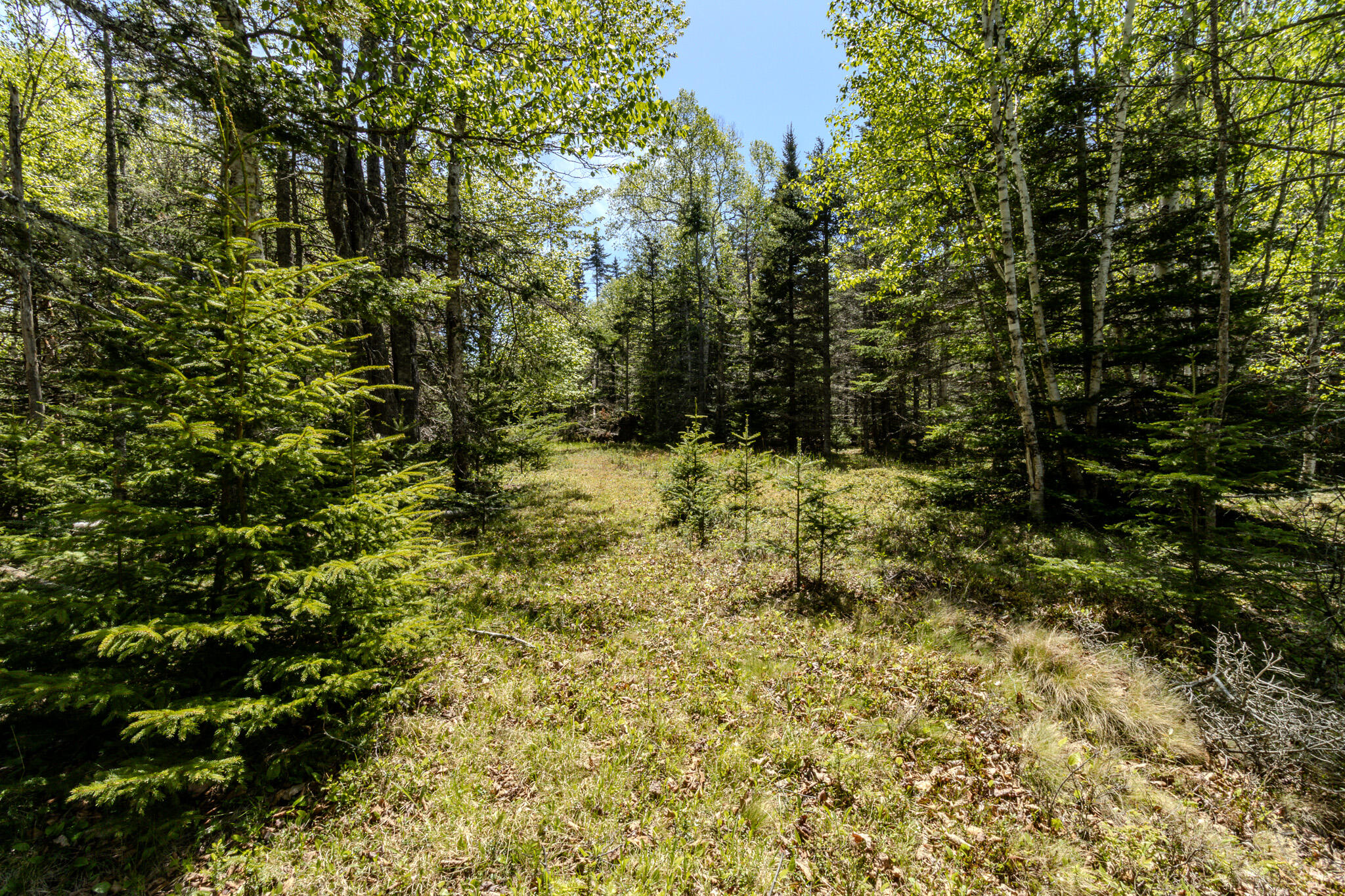 Lot 50 Cove Road Property Photo 34