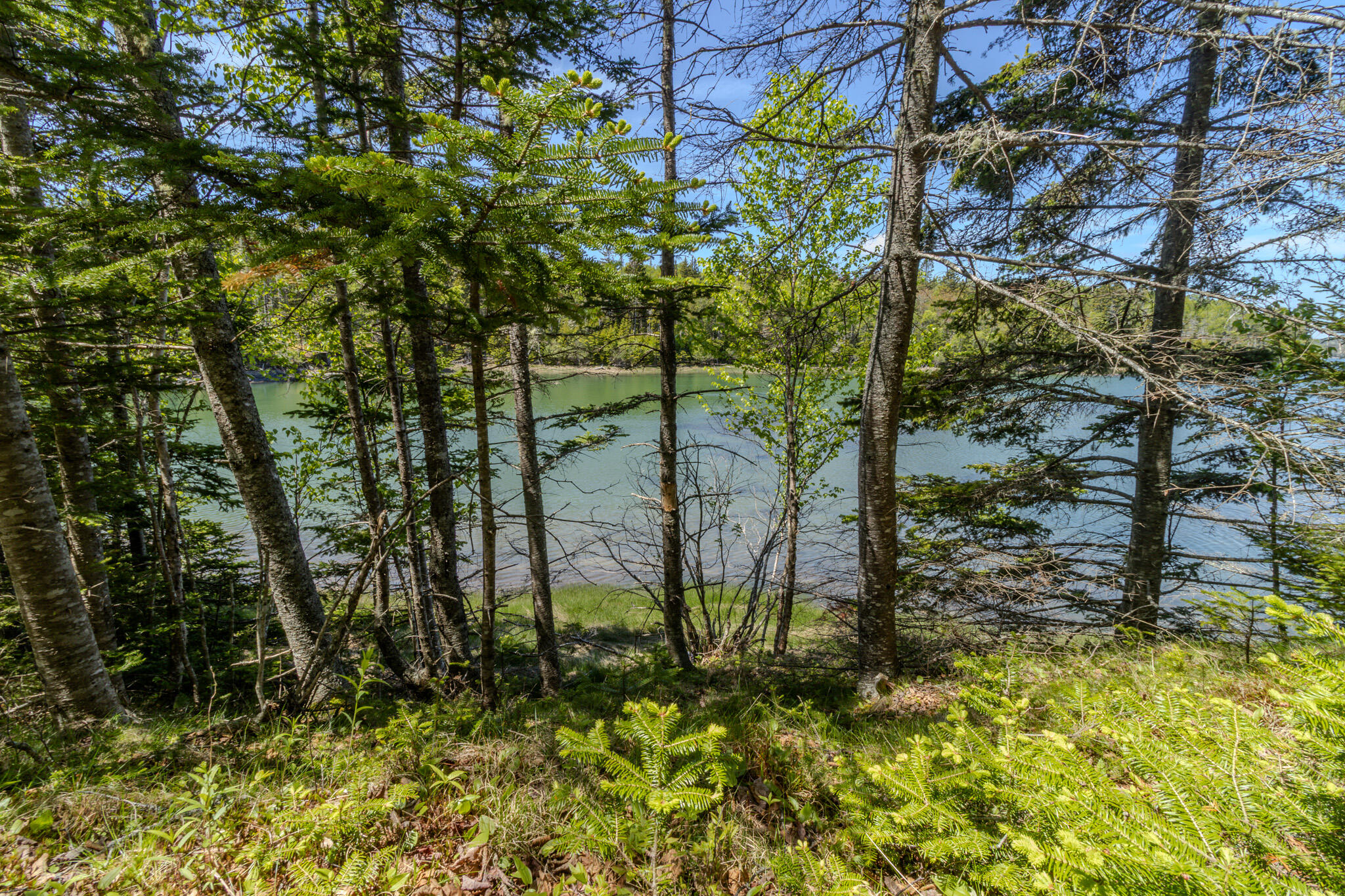 Lot 50 Cove Road Property Photo 35