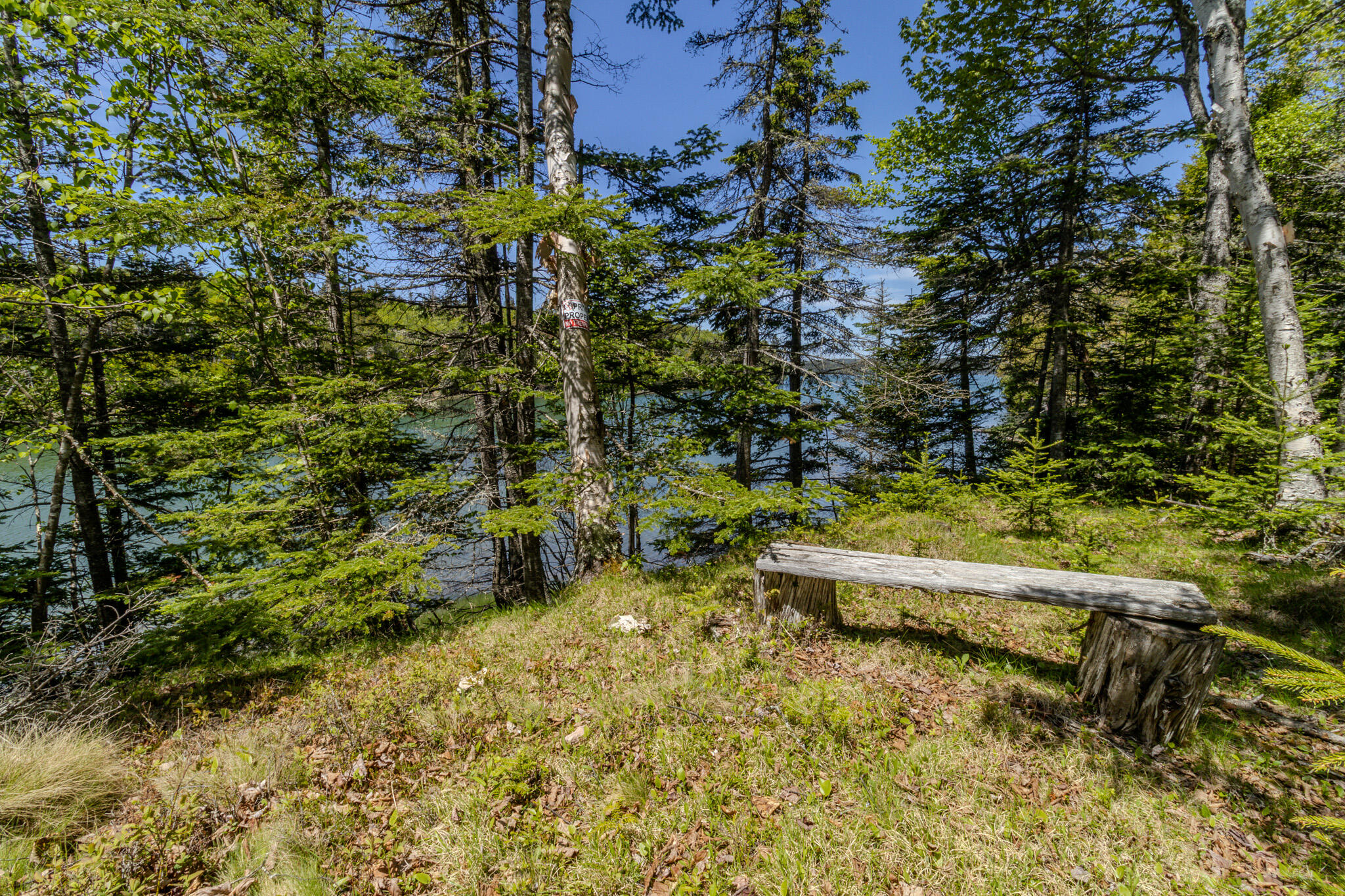 Lot 50 Cove Road Property Photo 36