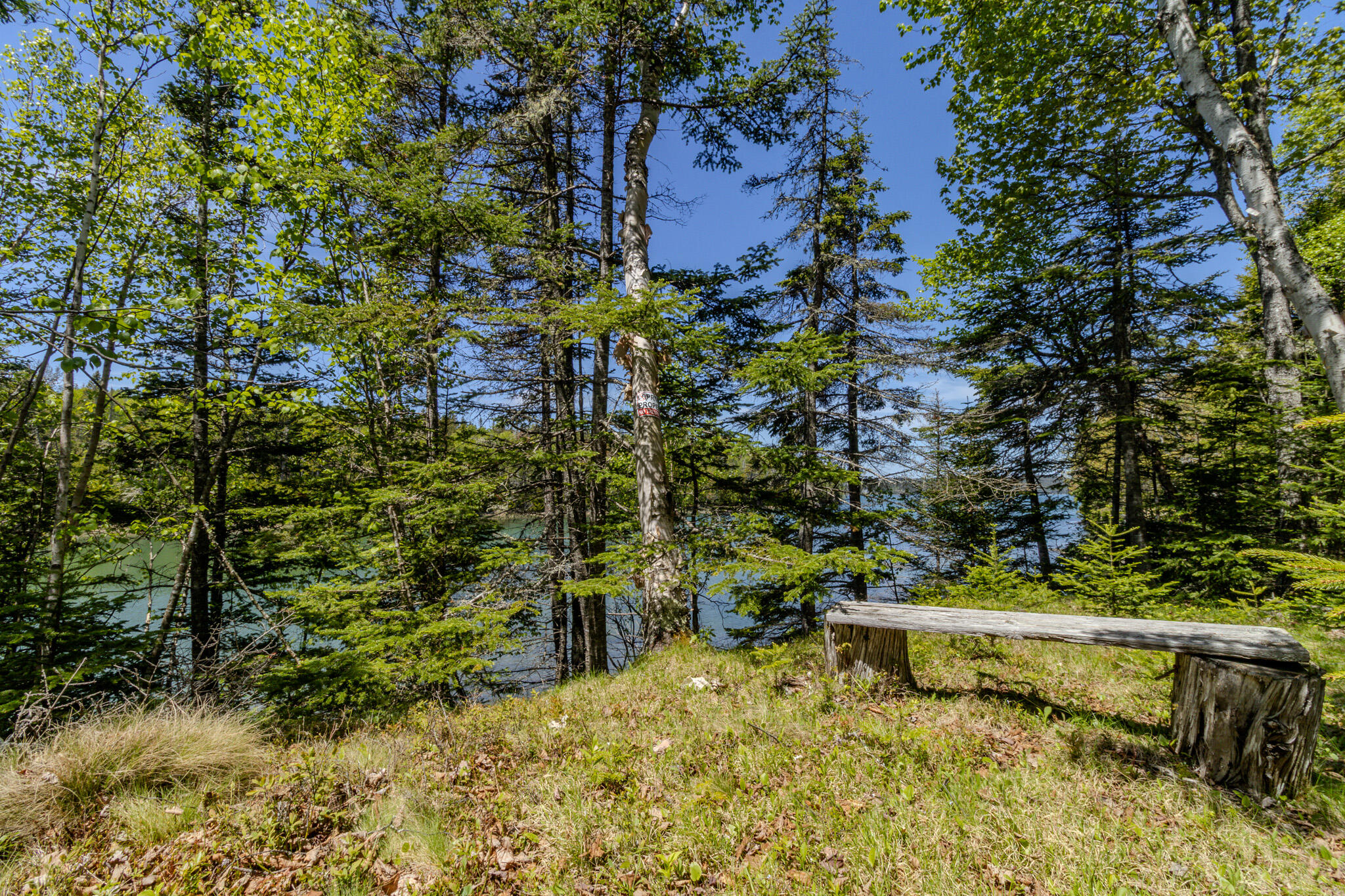 Lot 50 Cove Road Property Photo 37