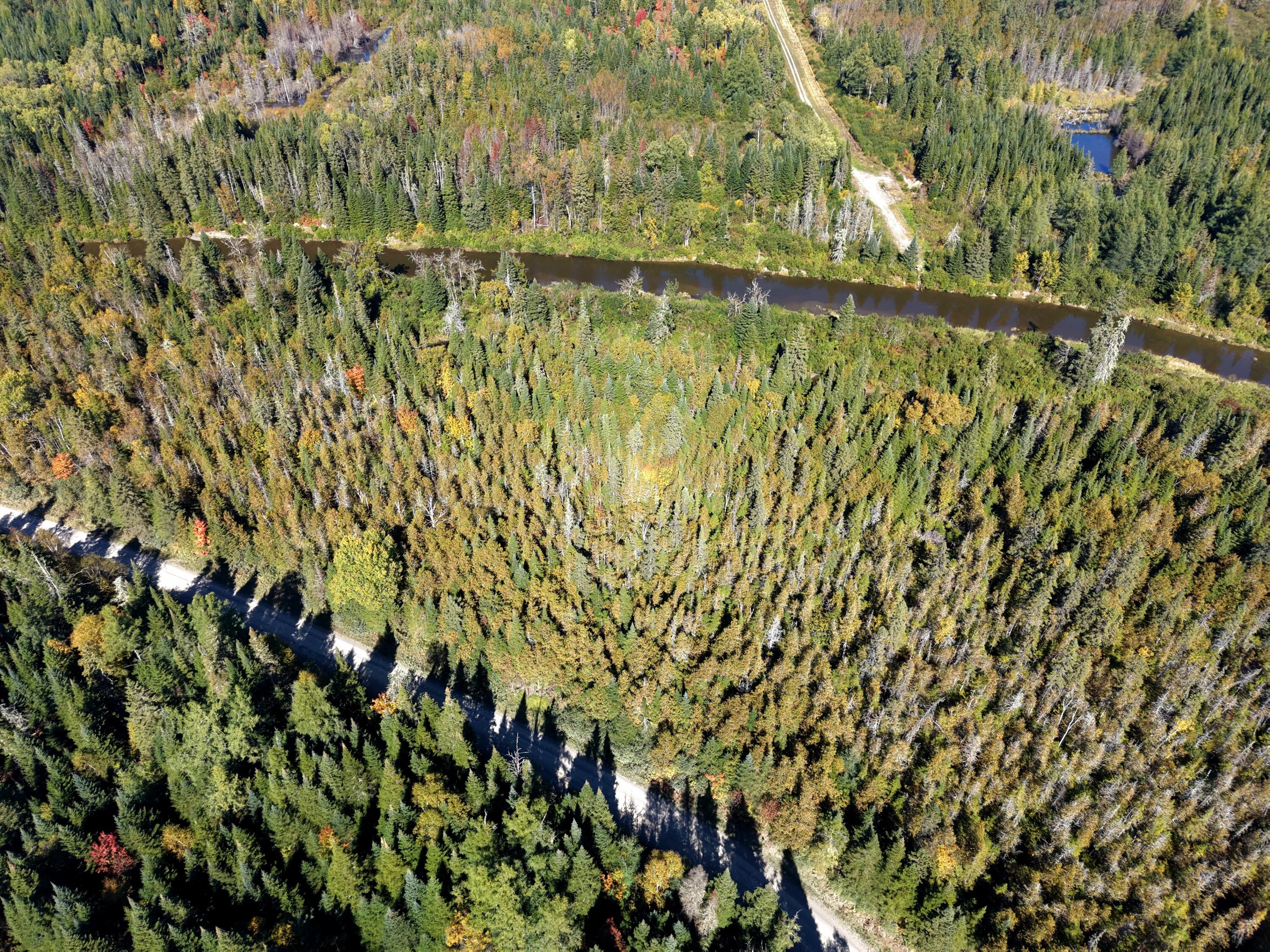 87.5/87.6 Dubay Pit Road Property Photo 1
