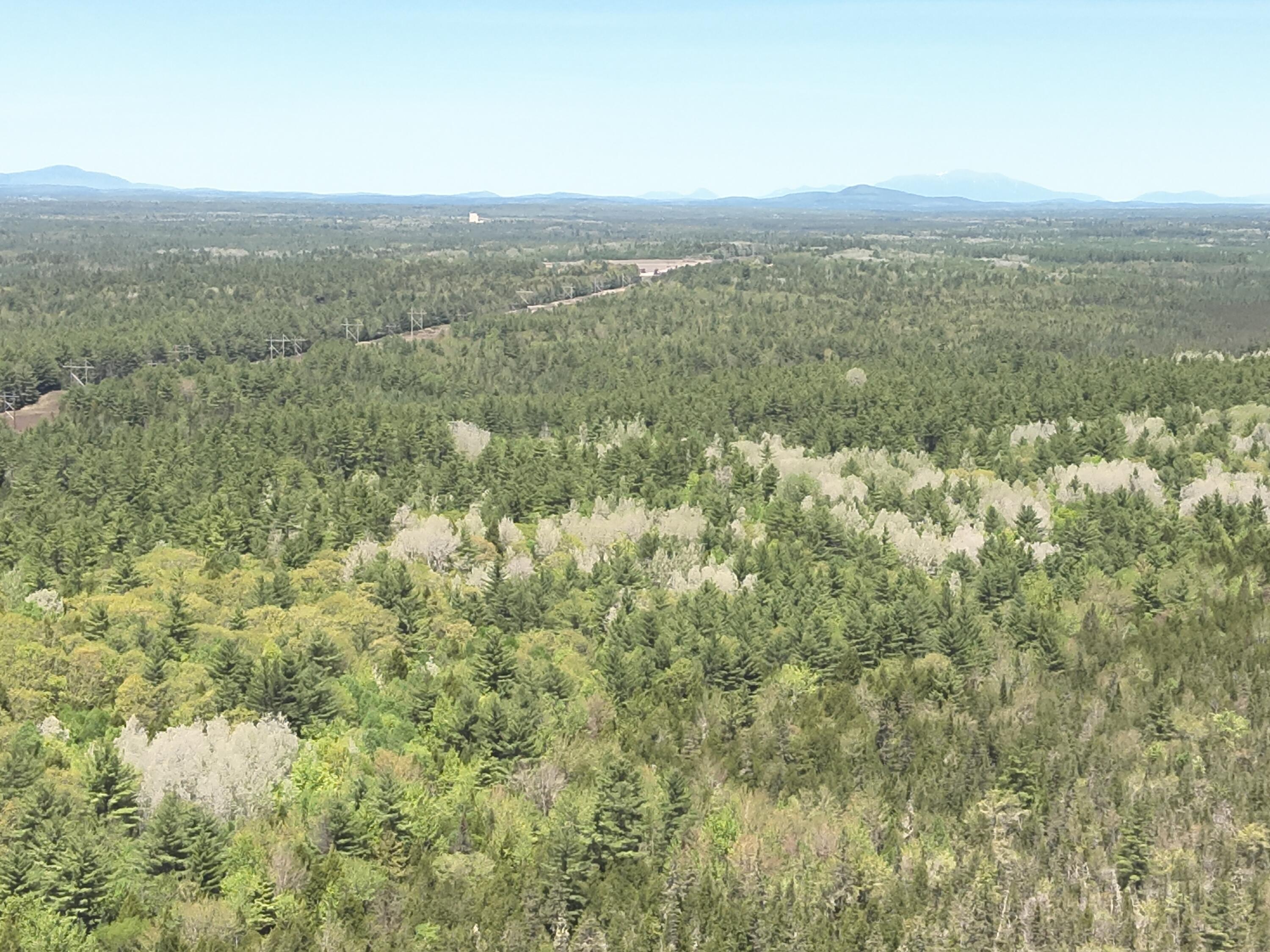 Map4lot15 St. John 's Road Property Photo 6