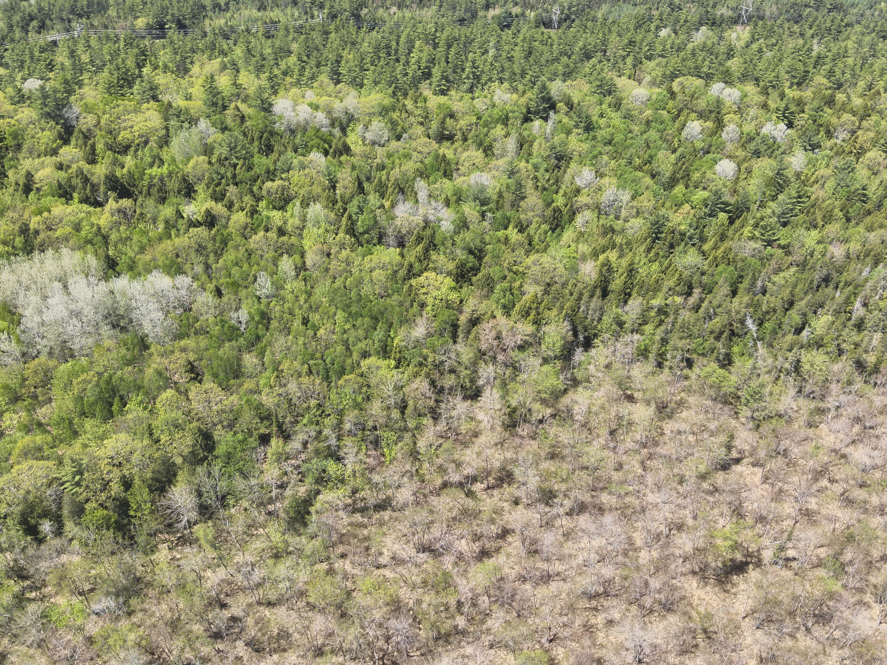 Map4lot15 St. John 's Road Property Photo 7
