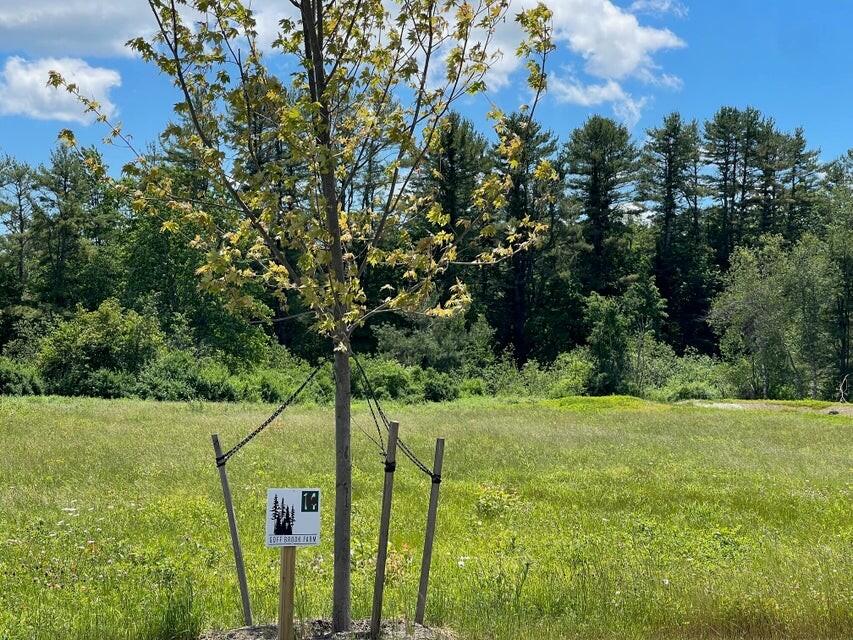 Lot 13 Forest Drive Property Photo 6