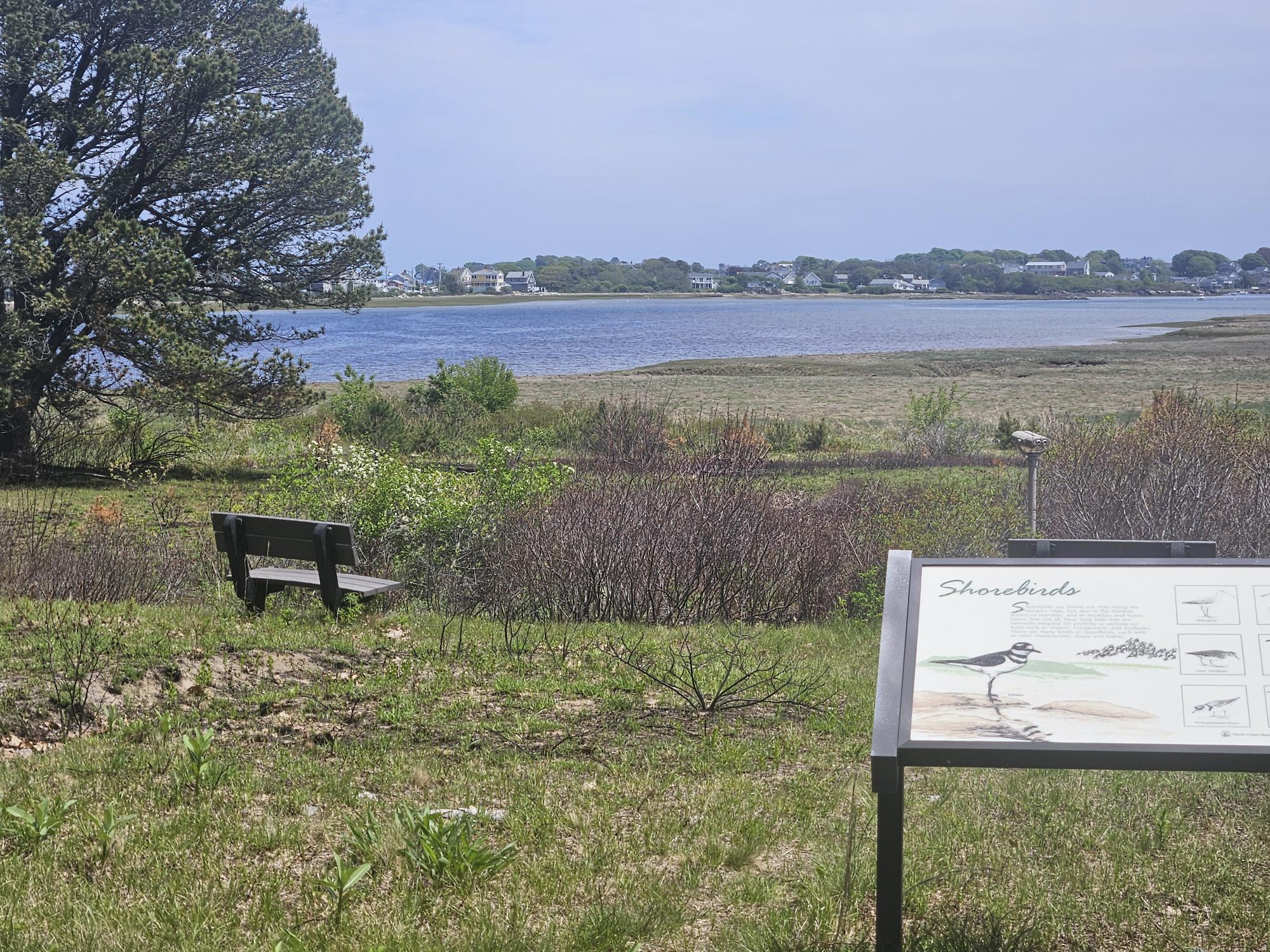 8 Days Landing Property Photo 10