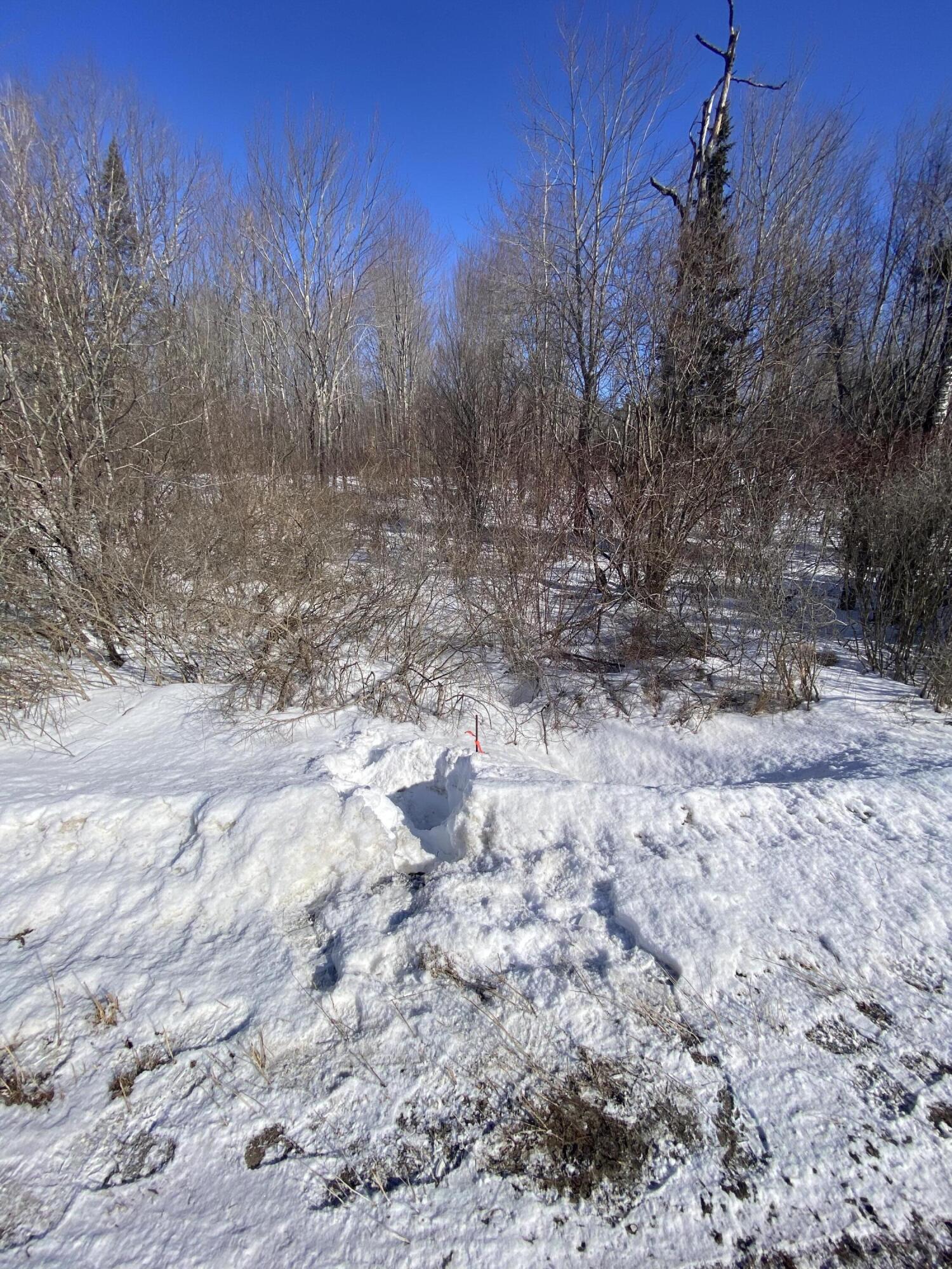 104 Langdon Road Property Photo 3