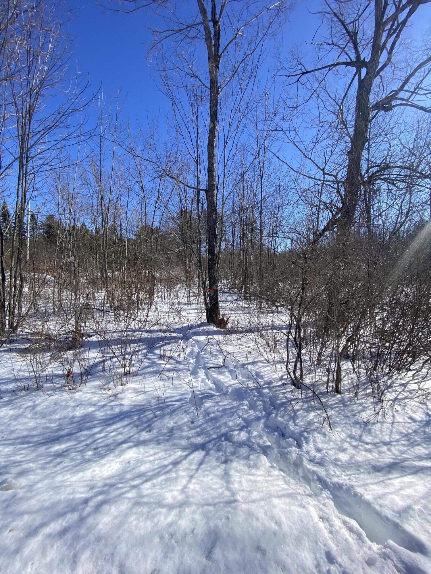 104 Langdon Road Property Photo 5