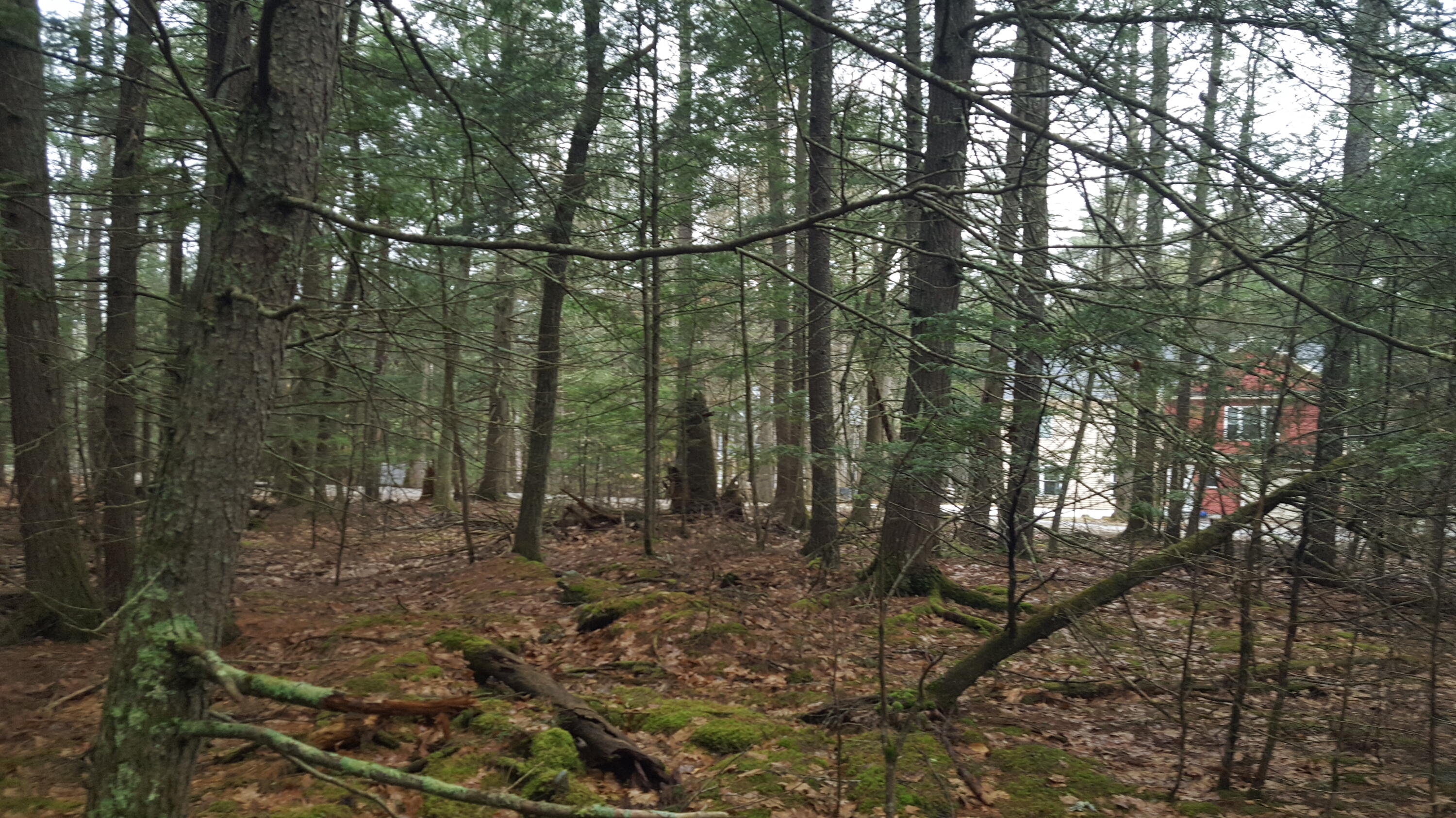 53 Johnson Road Property Photo 17
