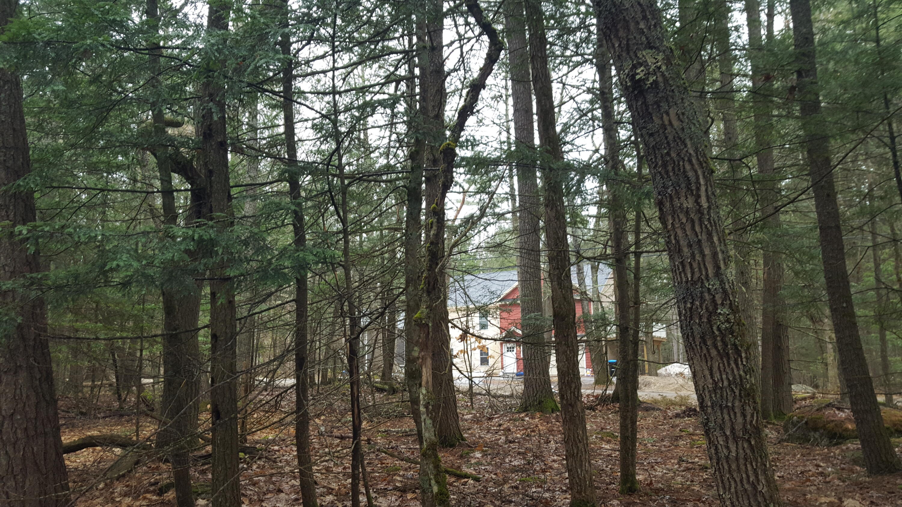 53 Johnson Road Property Photo 20