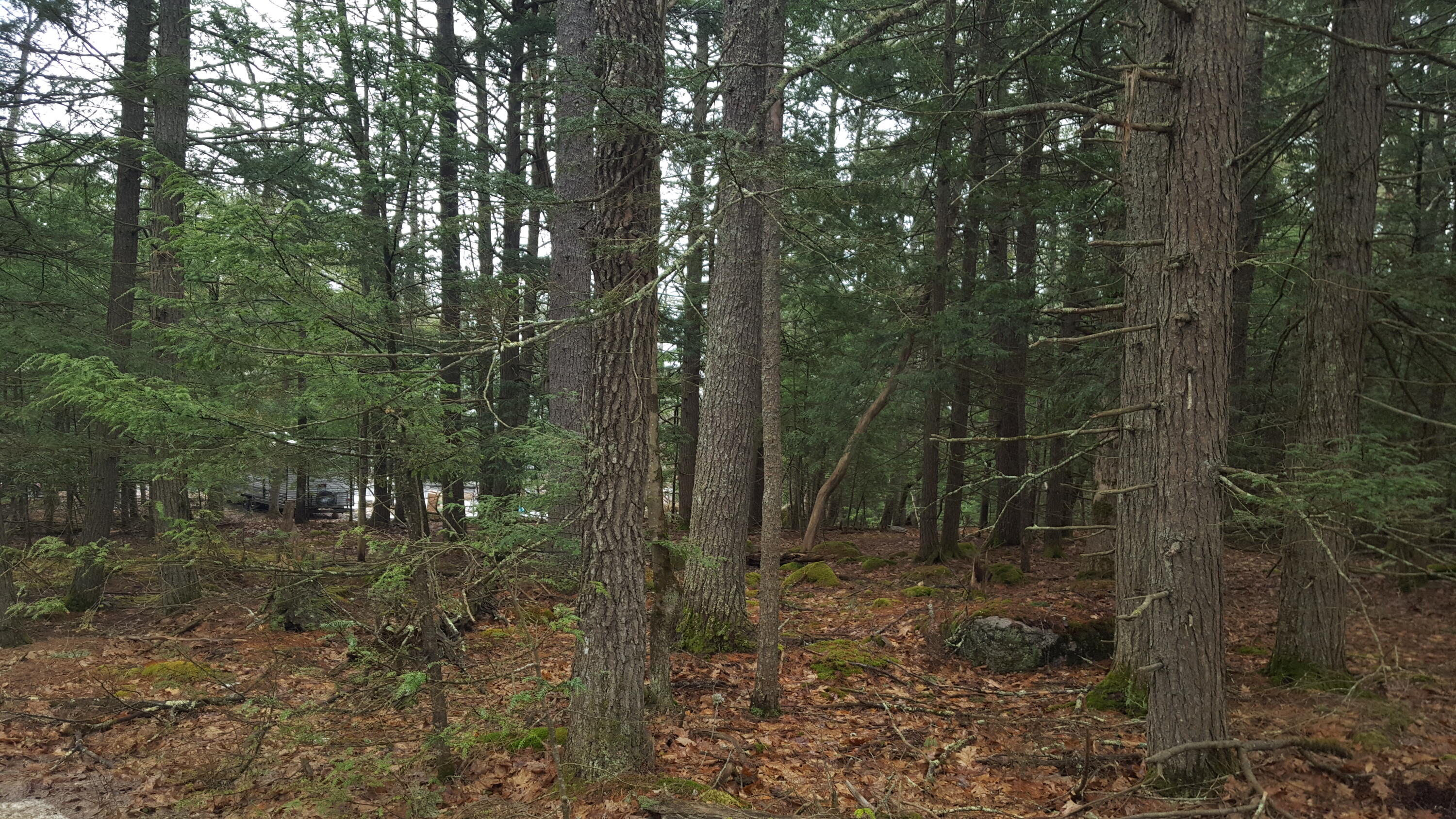 53 Johnson Road Property Photo 21