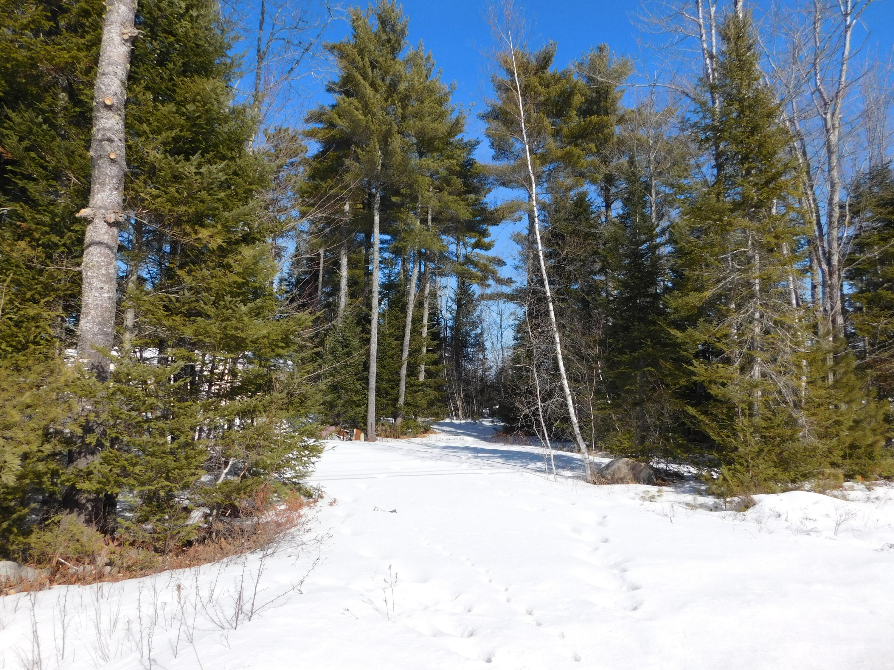 638 Greenfield Road Property Photo 1
