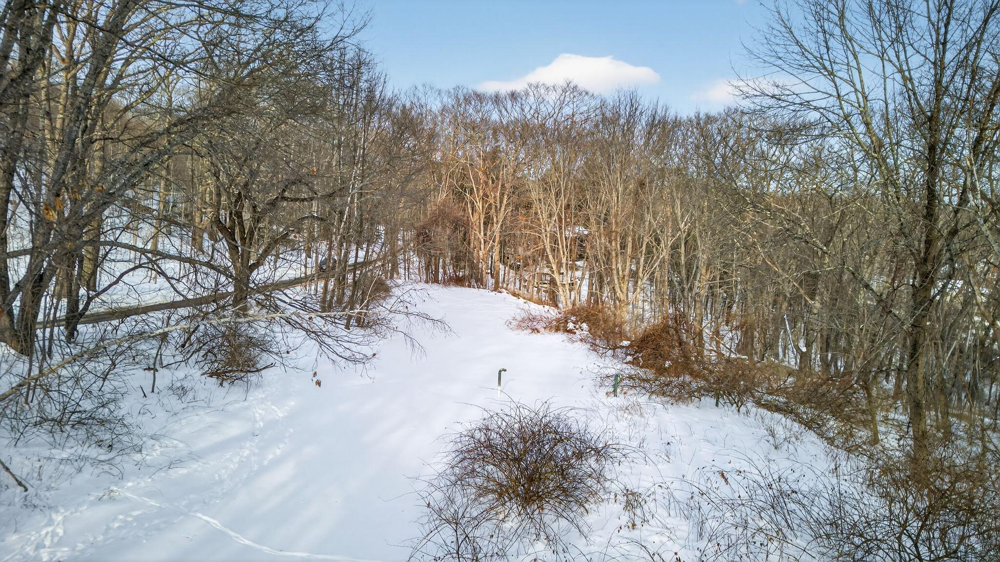 0 Ravine Drive Property Photo 6