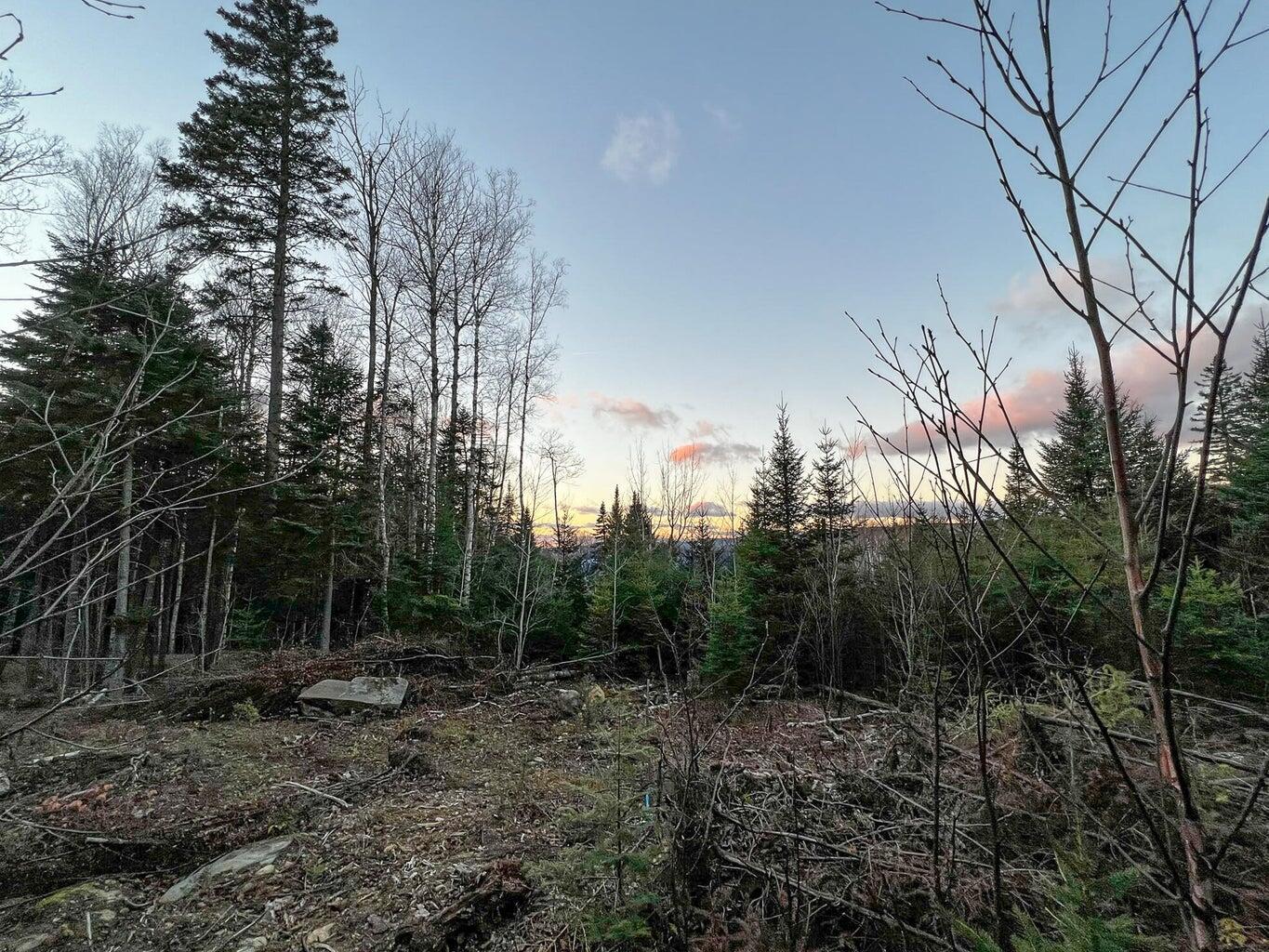 Lot 16 Mill Brook Road Property Photo 1