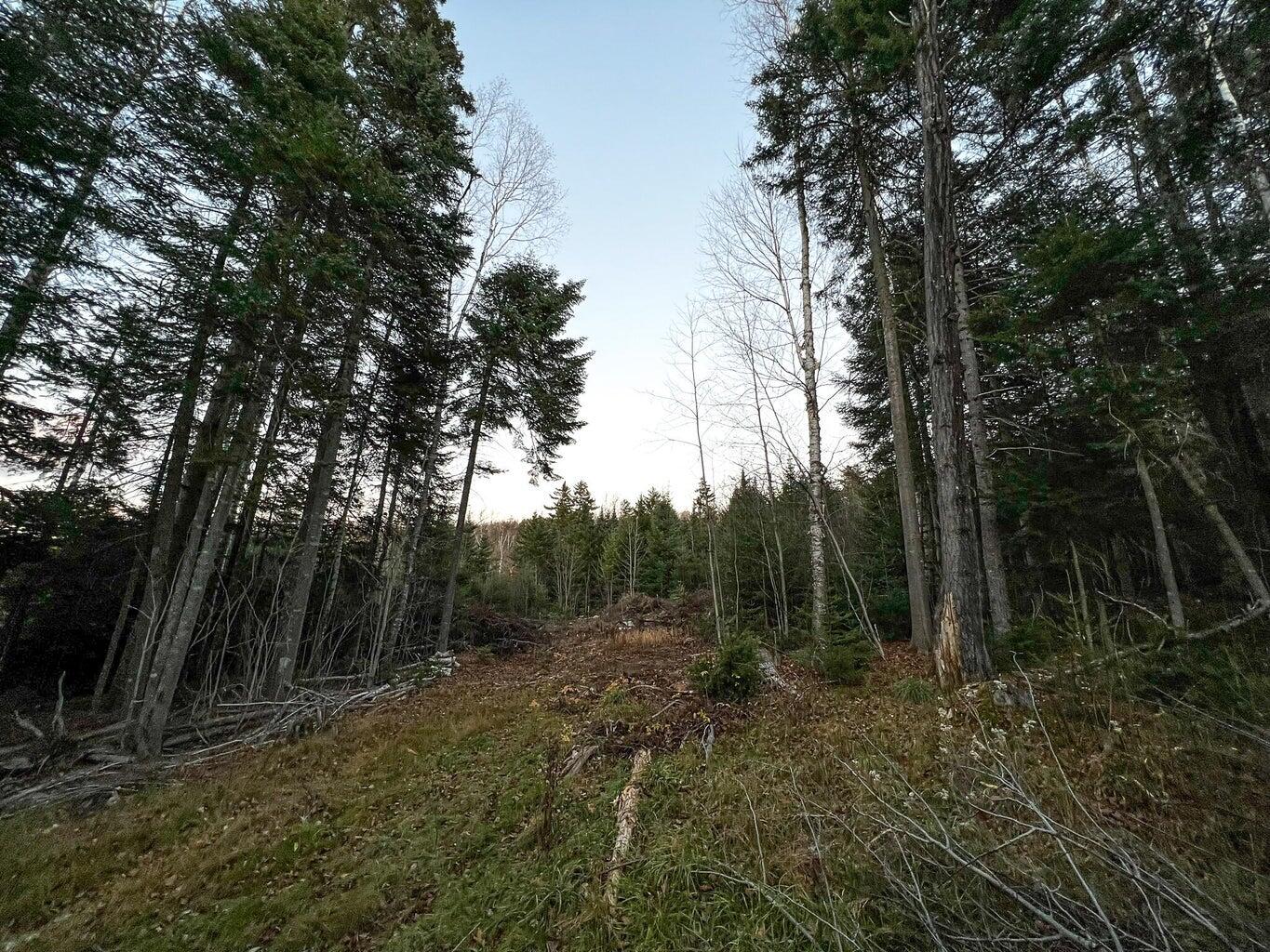 Lot 16 Mill Brook Road Property Photo 2
