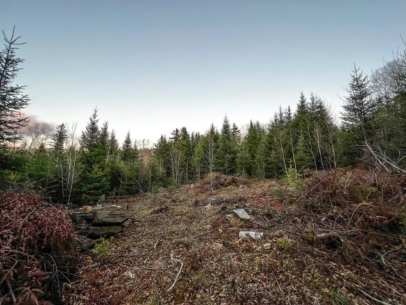 Lot 16 Mill Brook Road Property Photo 3