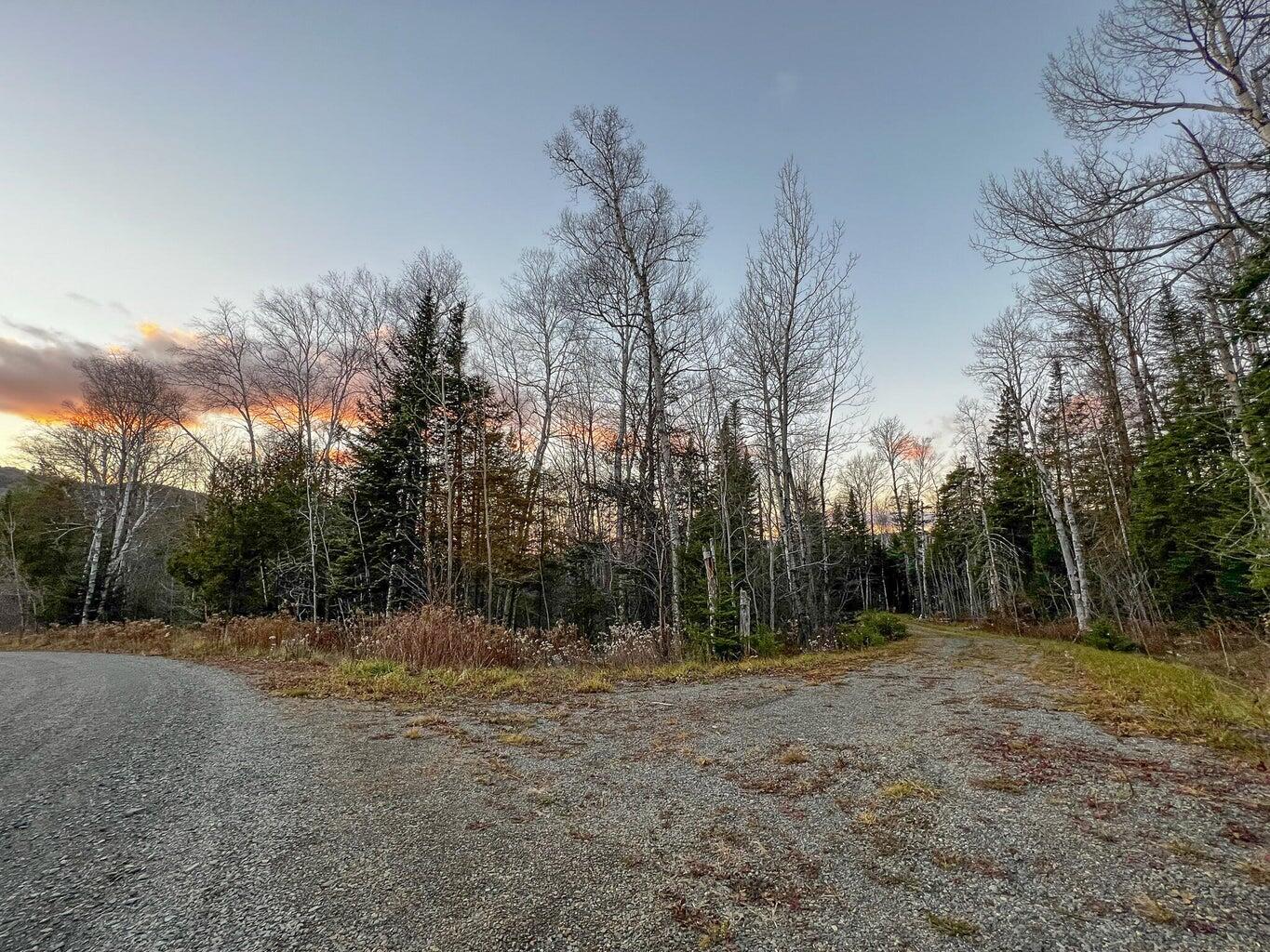 Lot 16 Mill Brook Road Property Photo 5