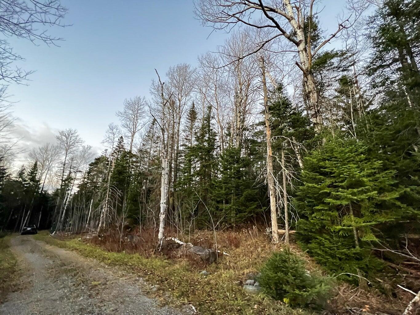 Lot 16 Mill Brook Road Property Photo 10