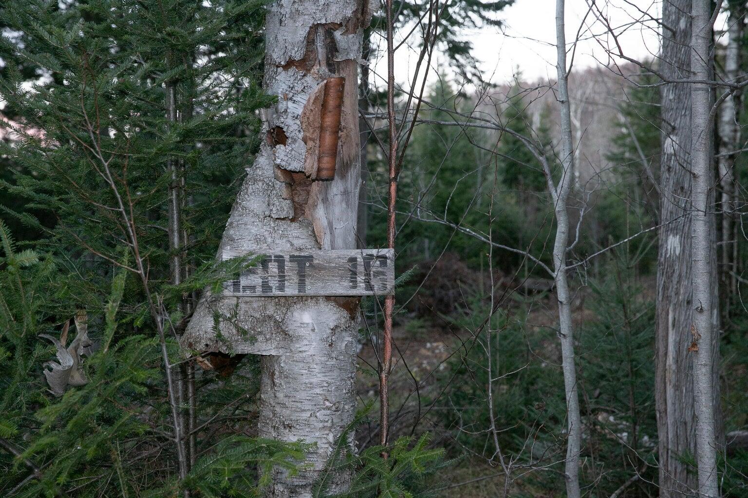 Lot 16 Mill Brook Road Property Photo 11